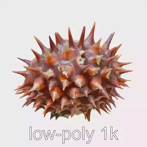 Venomous Fire Urchin with Spines Low-poly 3D model
