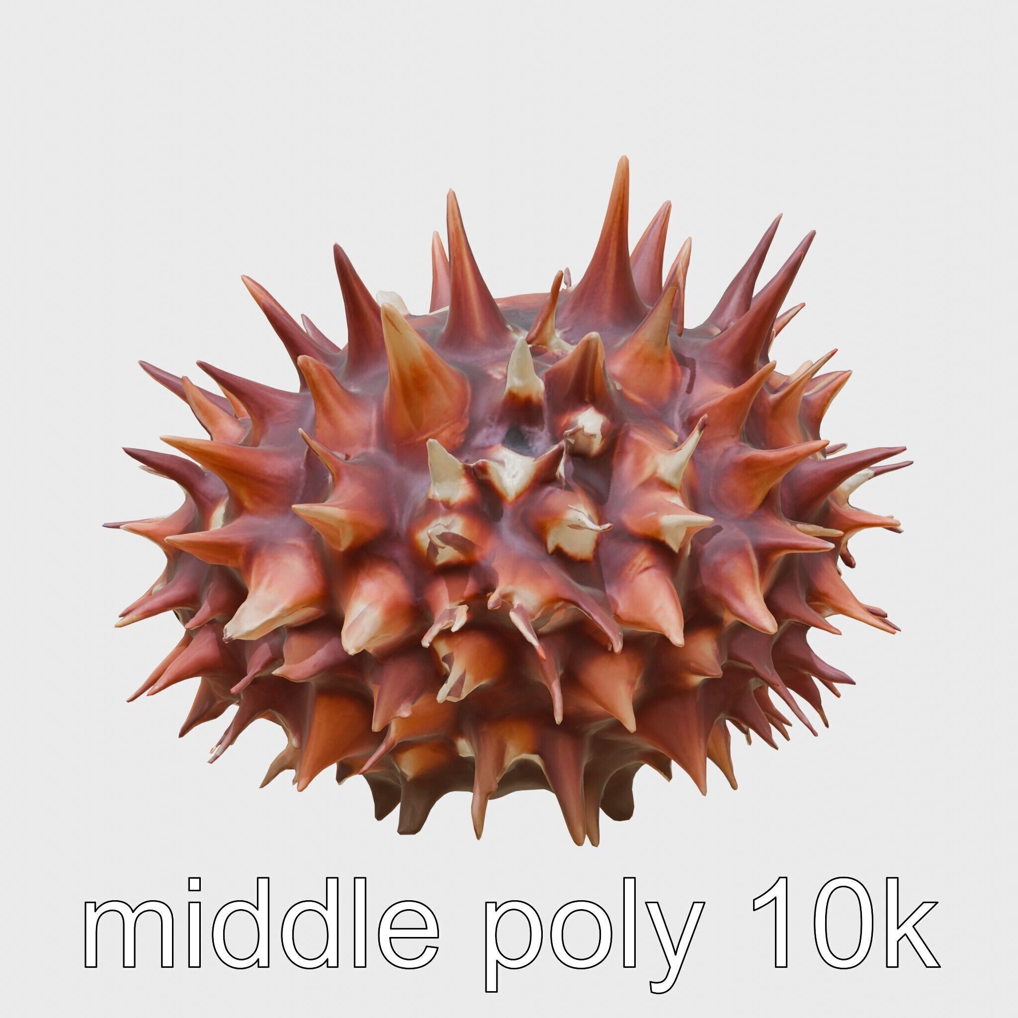 Venomous Fire Urchin with Spines Low-poly 3D model_2