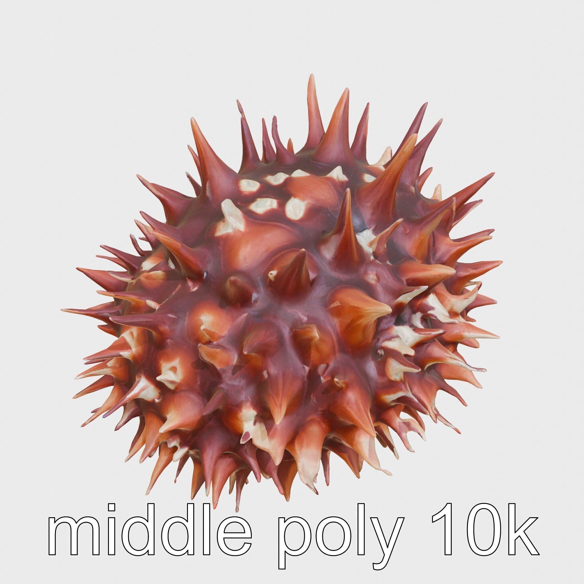 Venomous Fire Urchin with Spines Low-poly 3D model_21