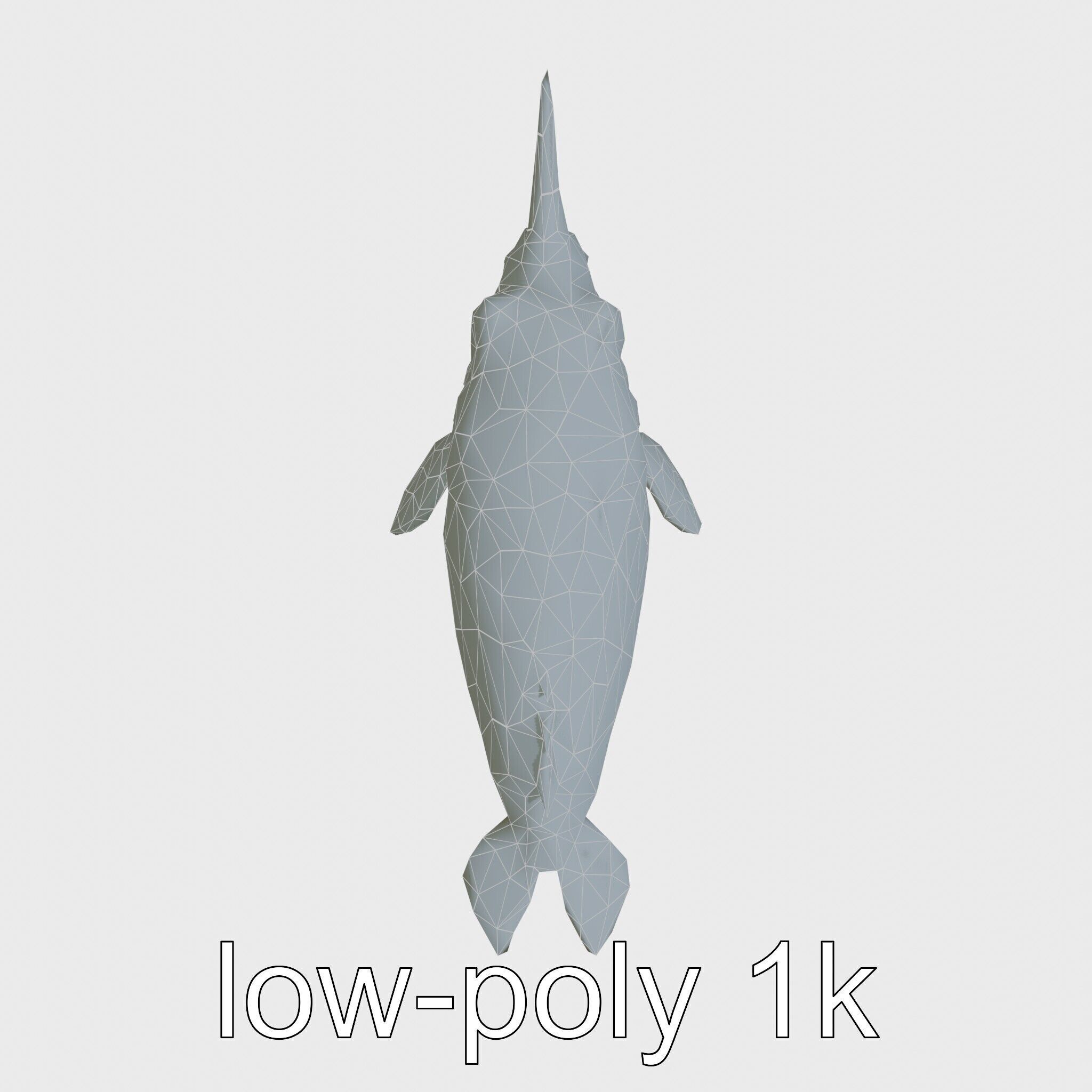 Sea Hare with Ear-Like Rhinophores 3D Model Low-poly 3D model_20