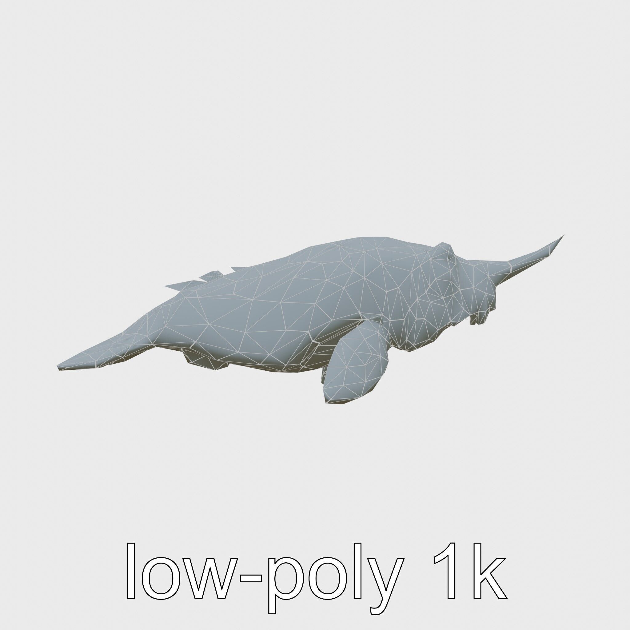 Sea Hare with Ear-Like Rhinophores 3D Model Low-poly 3D model_7