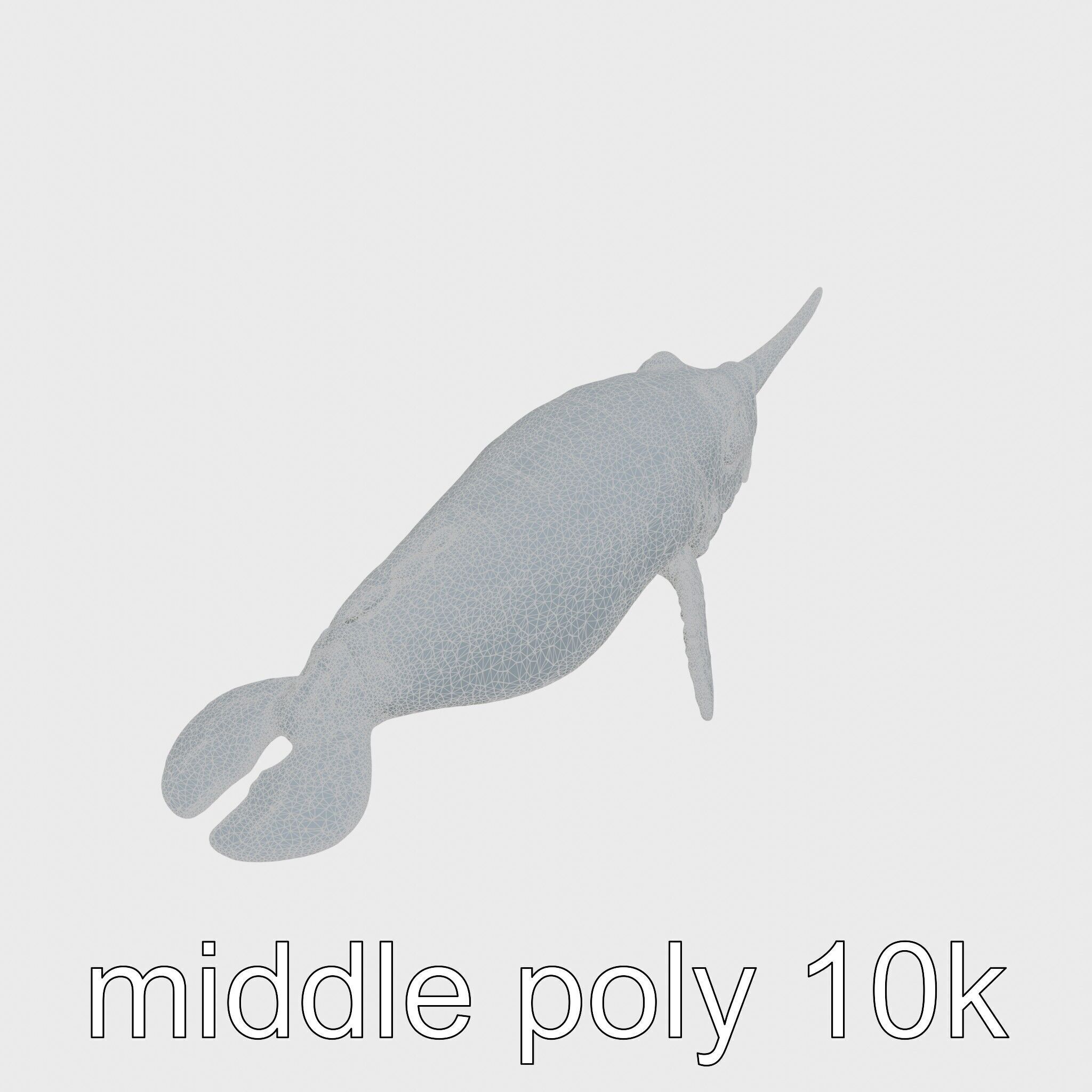 Sea Hare with Ear-Like Rhinophores 3D Model Low-poly 3D model_30