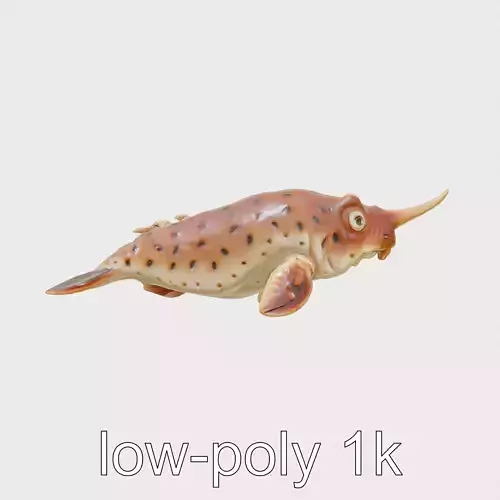 Sea Hare with Ear-Like Rhinophores 3D Model