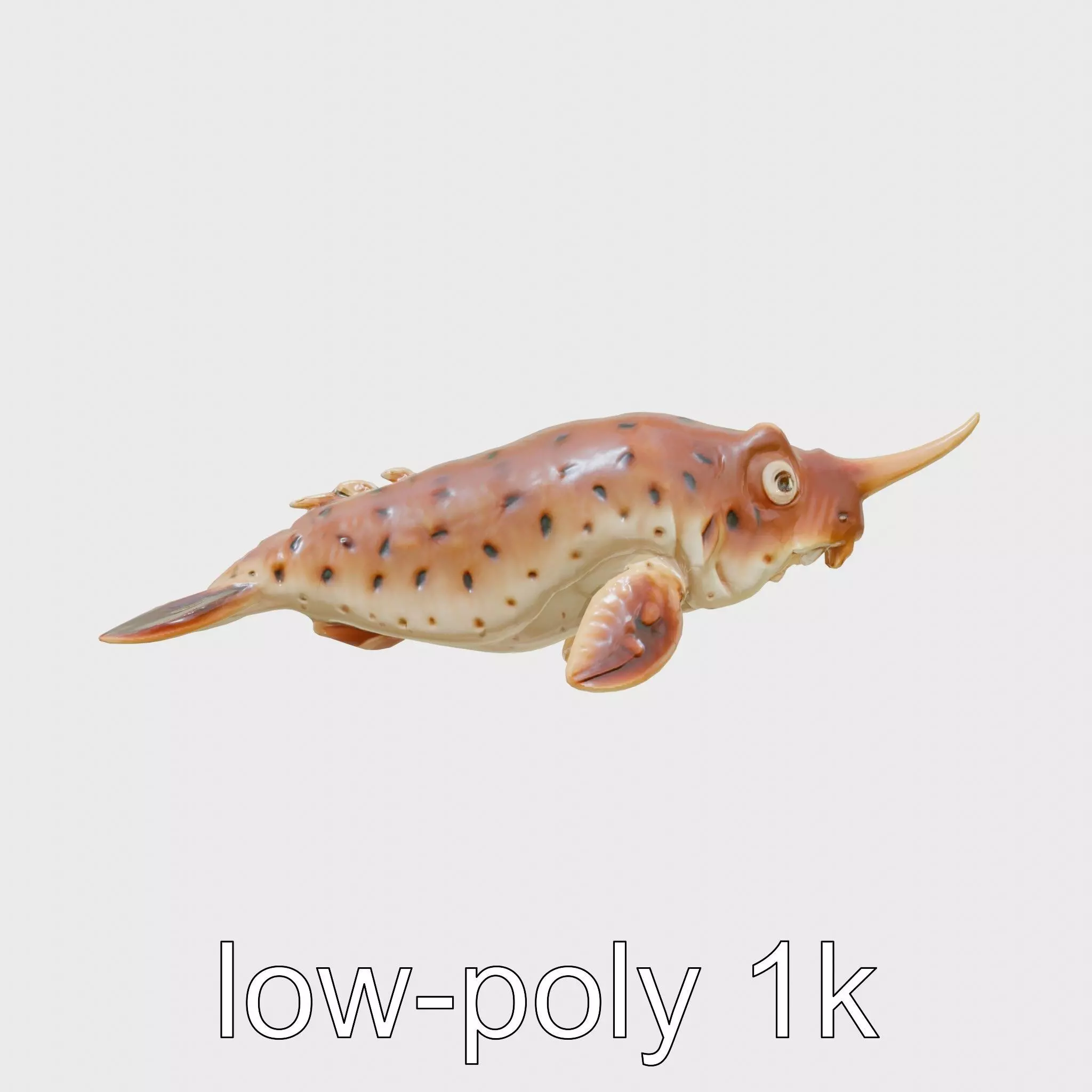 Sea Hare with Ear-Like Rhinophores 3D Model Low-poly 3D model_0