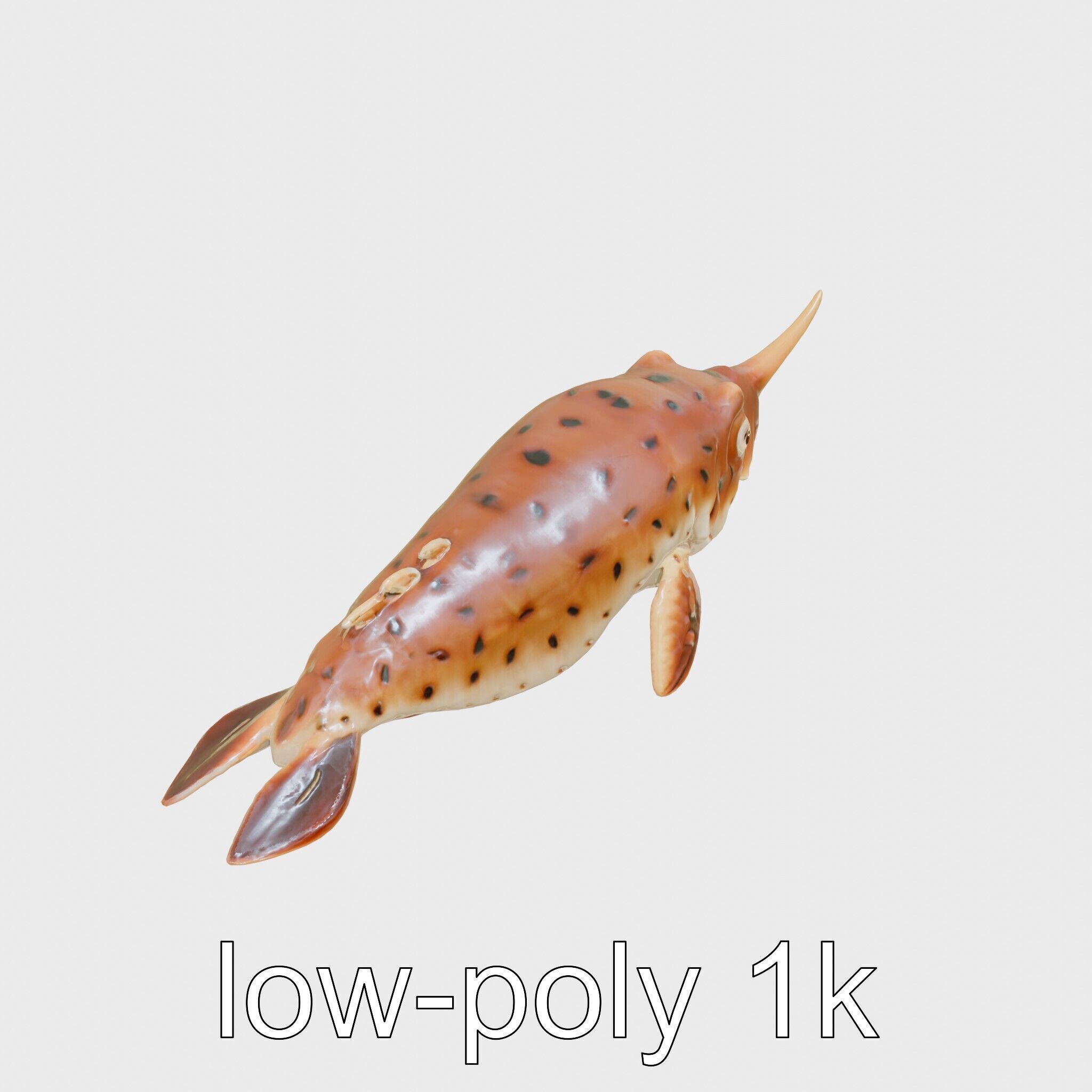 Sea Hare with Ear-Like Rhinophores 3D Model Low-poly 3D model_14