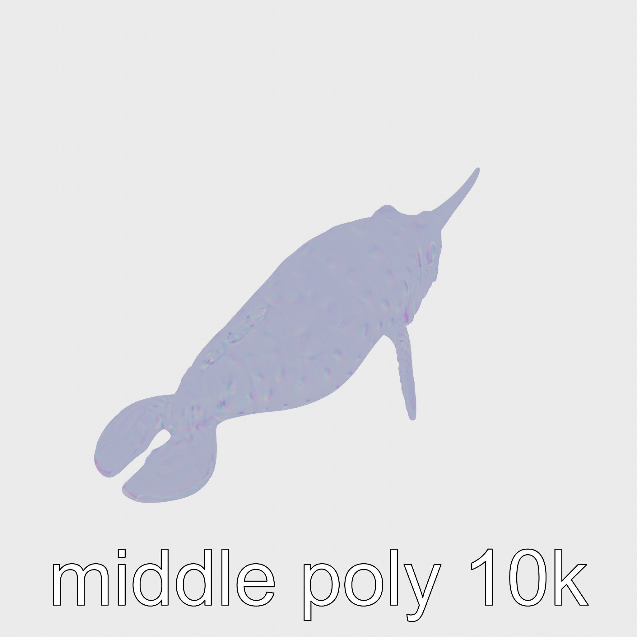 Sea Hare with Ear-Like Rhinophores 3D Model Low-poly 3D model_22