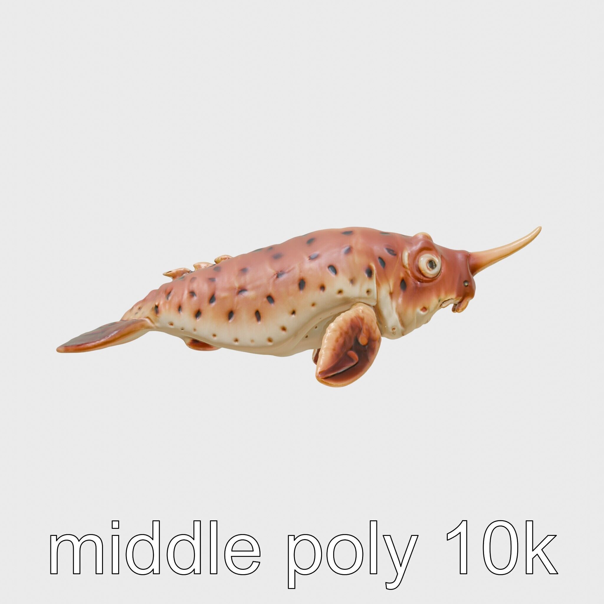 Sea Hare with Ear-Like Rhinophores 3D Model Low-poly 3D model_2