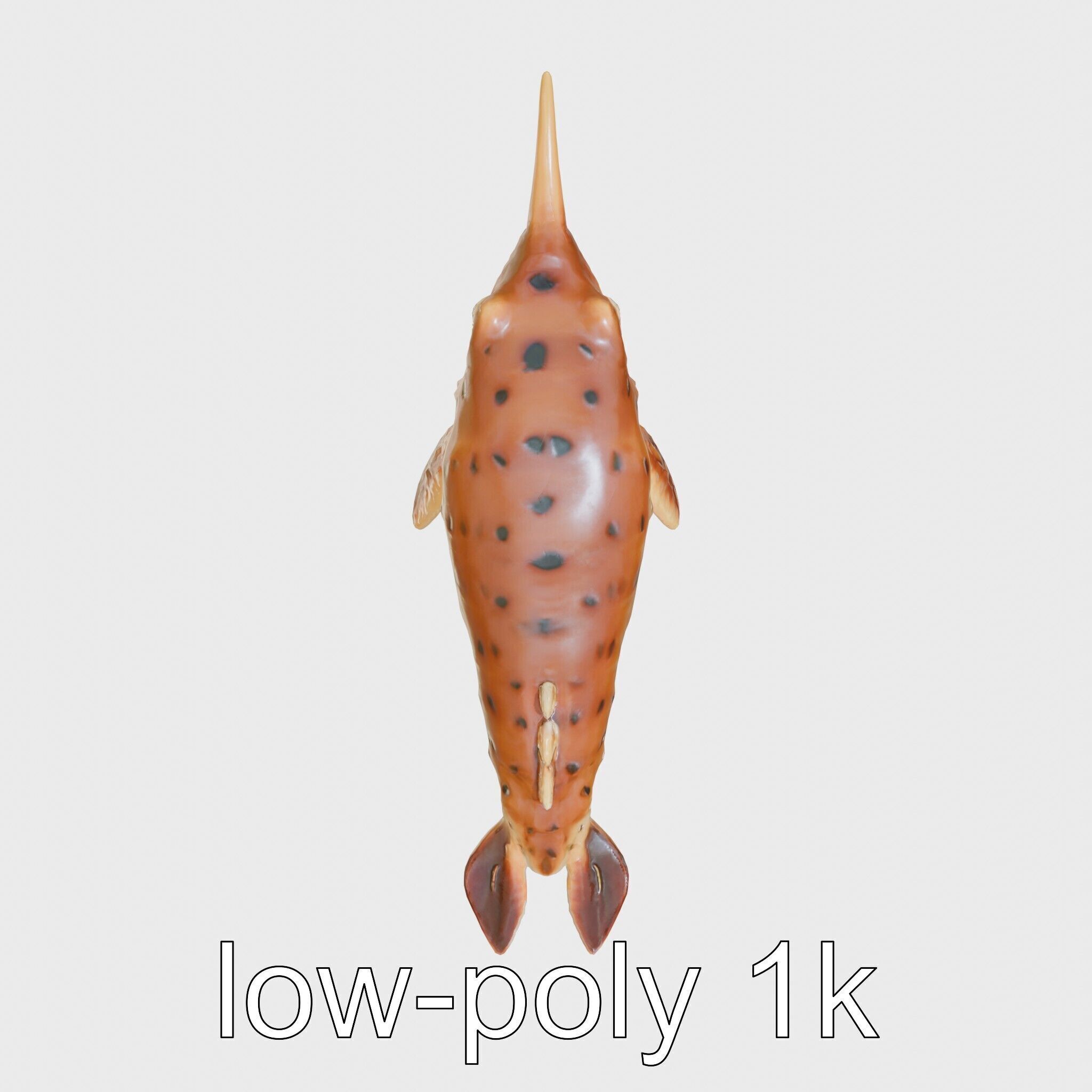Sea Hare with Ear-Like Rhinophores 3D Model Low-poly 3D model_9