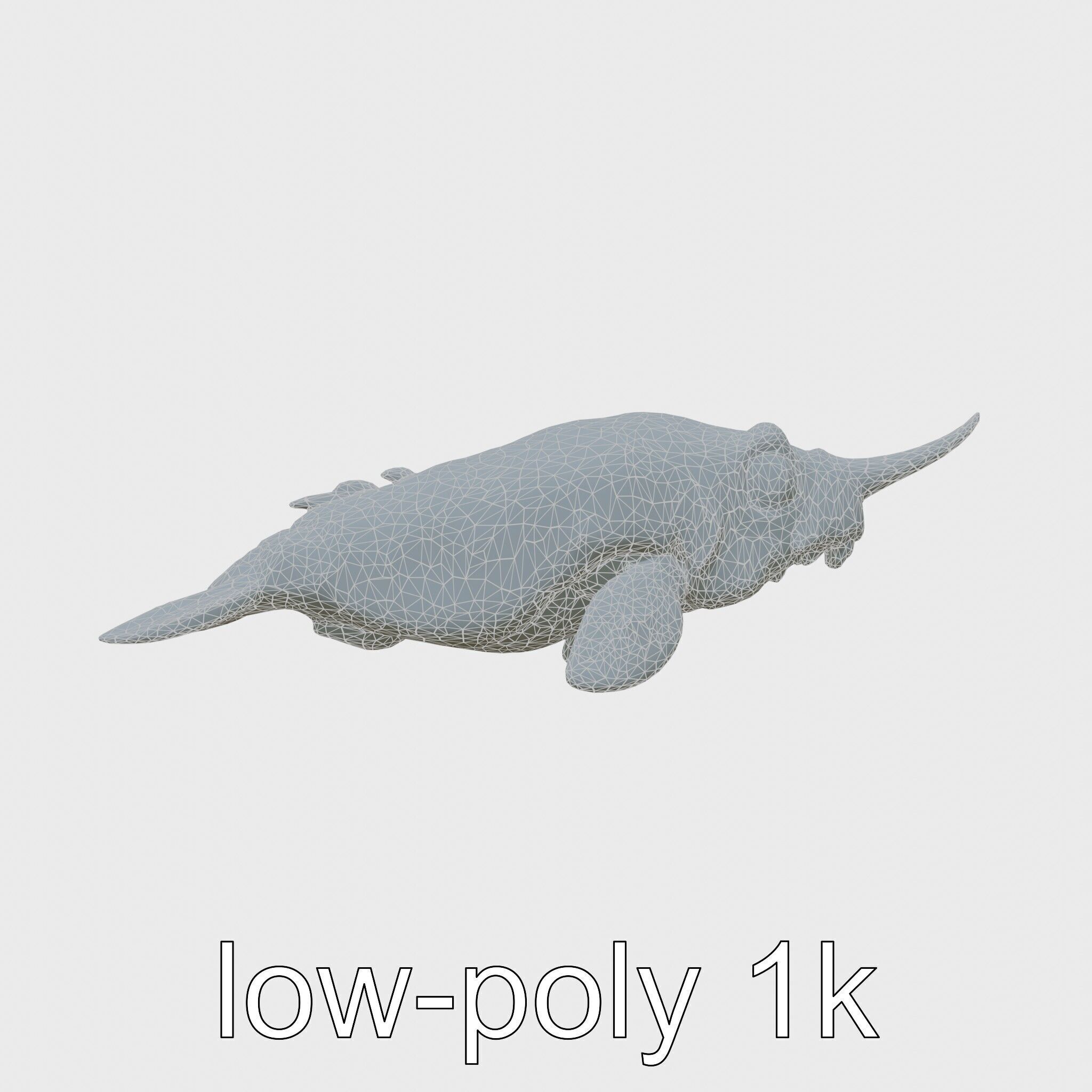 Sea Hare with Ear-Like Rhinophores 3D Model Low-poly 3D model_6