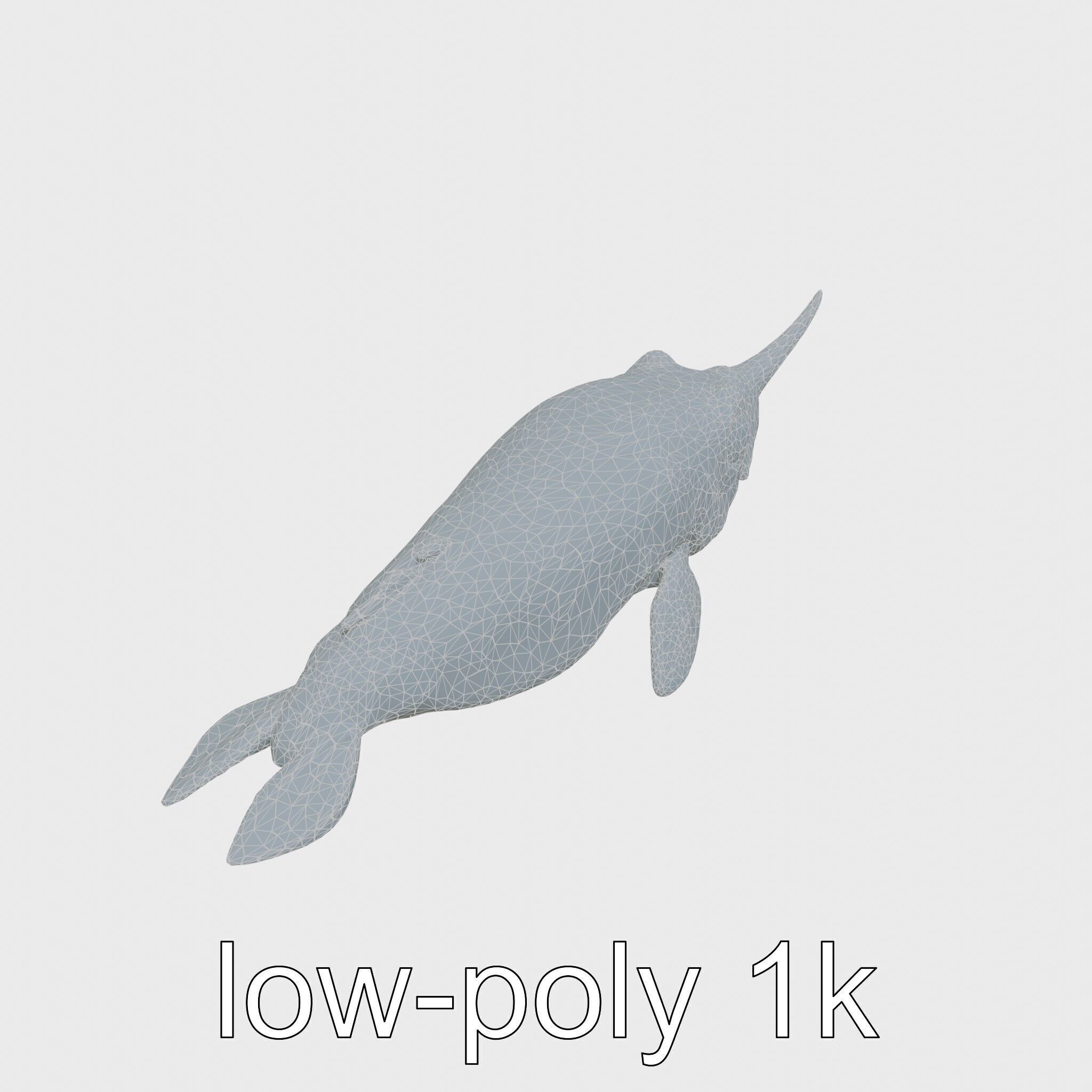 Sea Hare with Ear-Like Rhinophores 3D Model Low-poly 3D model_21
