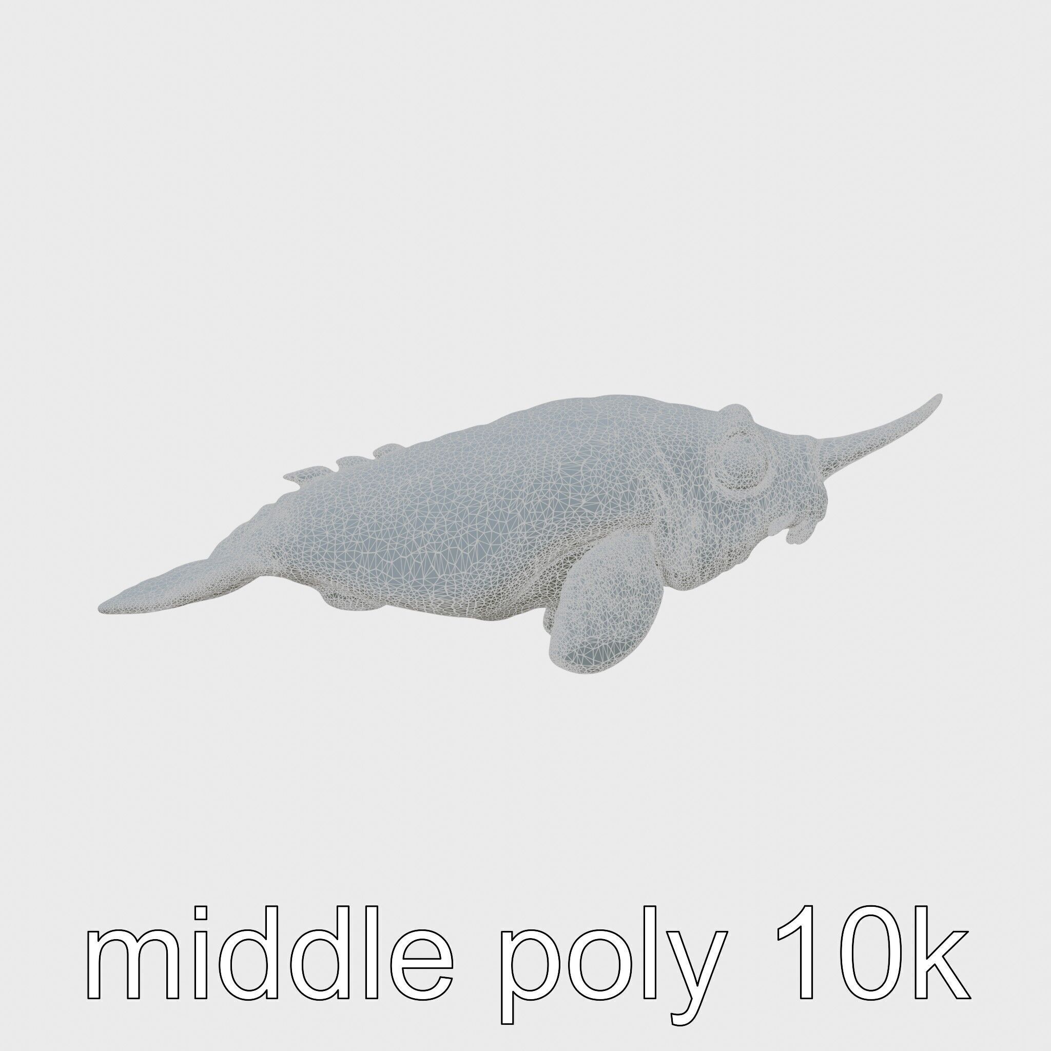 Sea Hare with Ear-Like Rhinophores 3D Model Low-poly 3D model_5