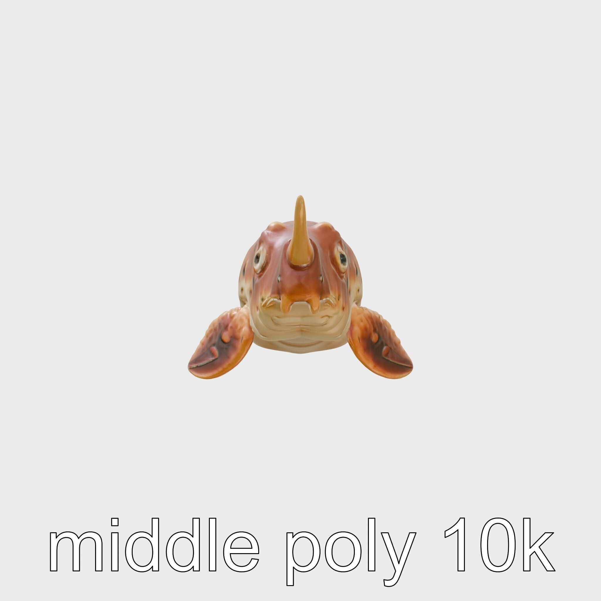 Sea Hare with Ear-Like Rhinophores 3D Model Low-poly 3D model_16