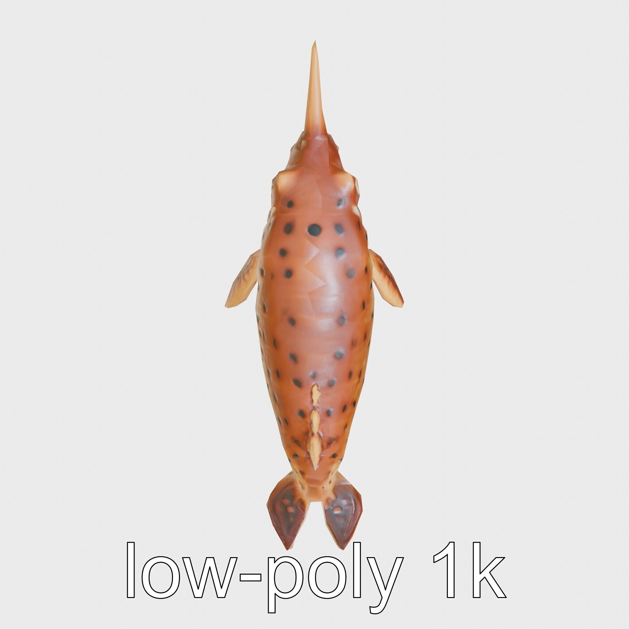 Sea Hare with Ear-Like Rhinophores 3D Model Low-poly 3D model_10