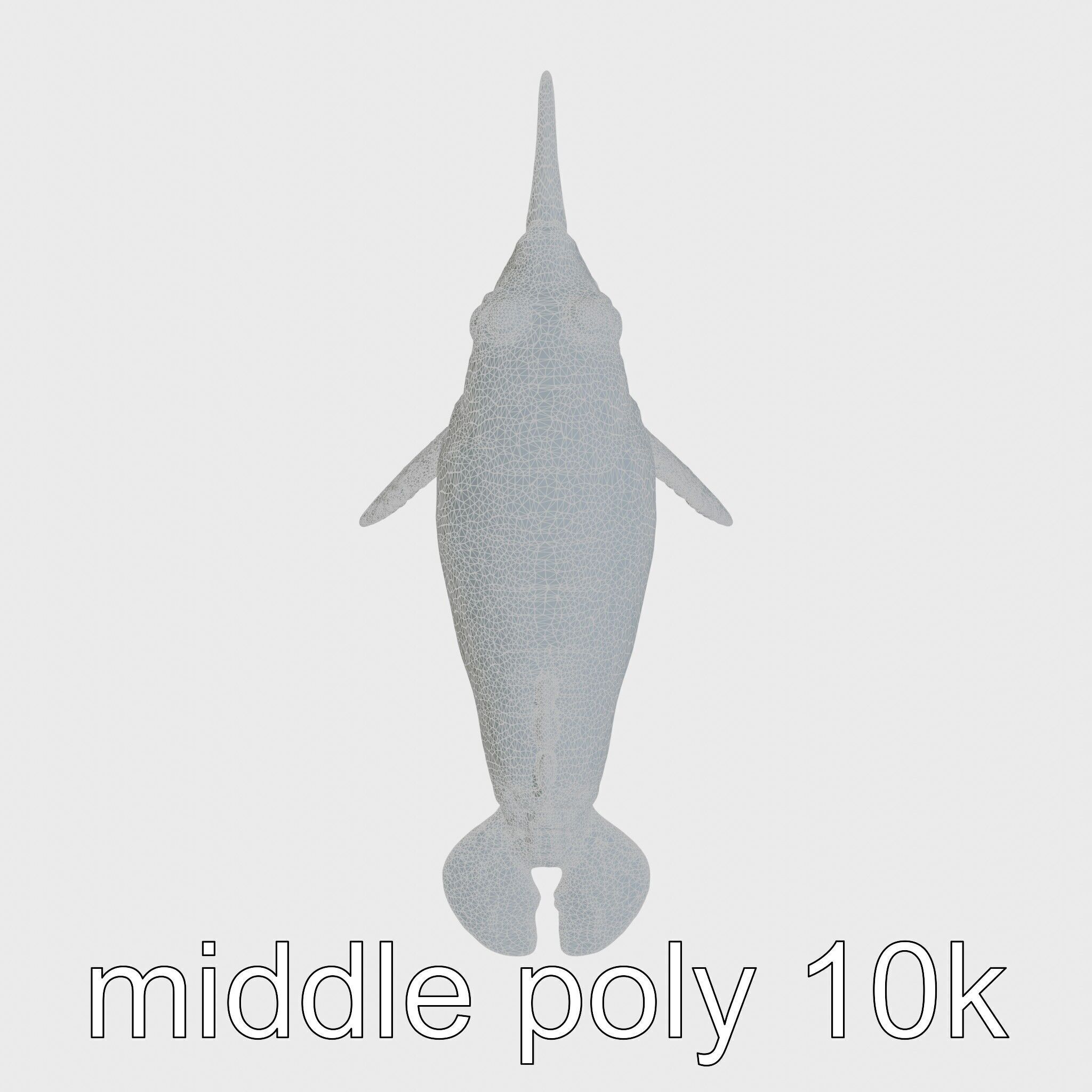 Sea Hare with Ear-Like Rhinophores 3D Model Low-poly 3D model_11