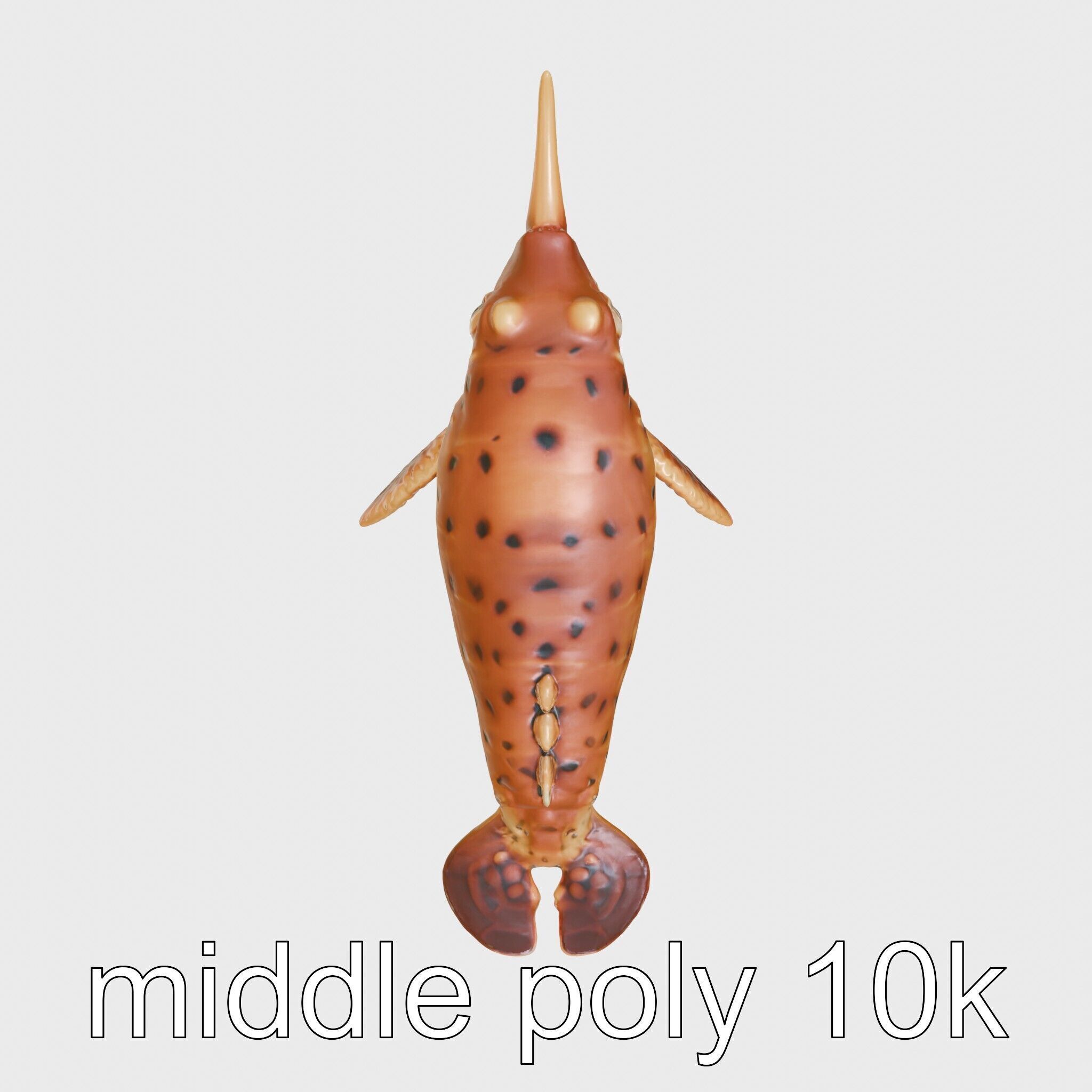 Sea Hare with Ear-Like Rhinophores 3D Model Low-poly 3D model_8