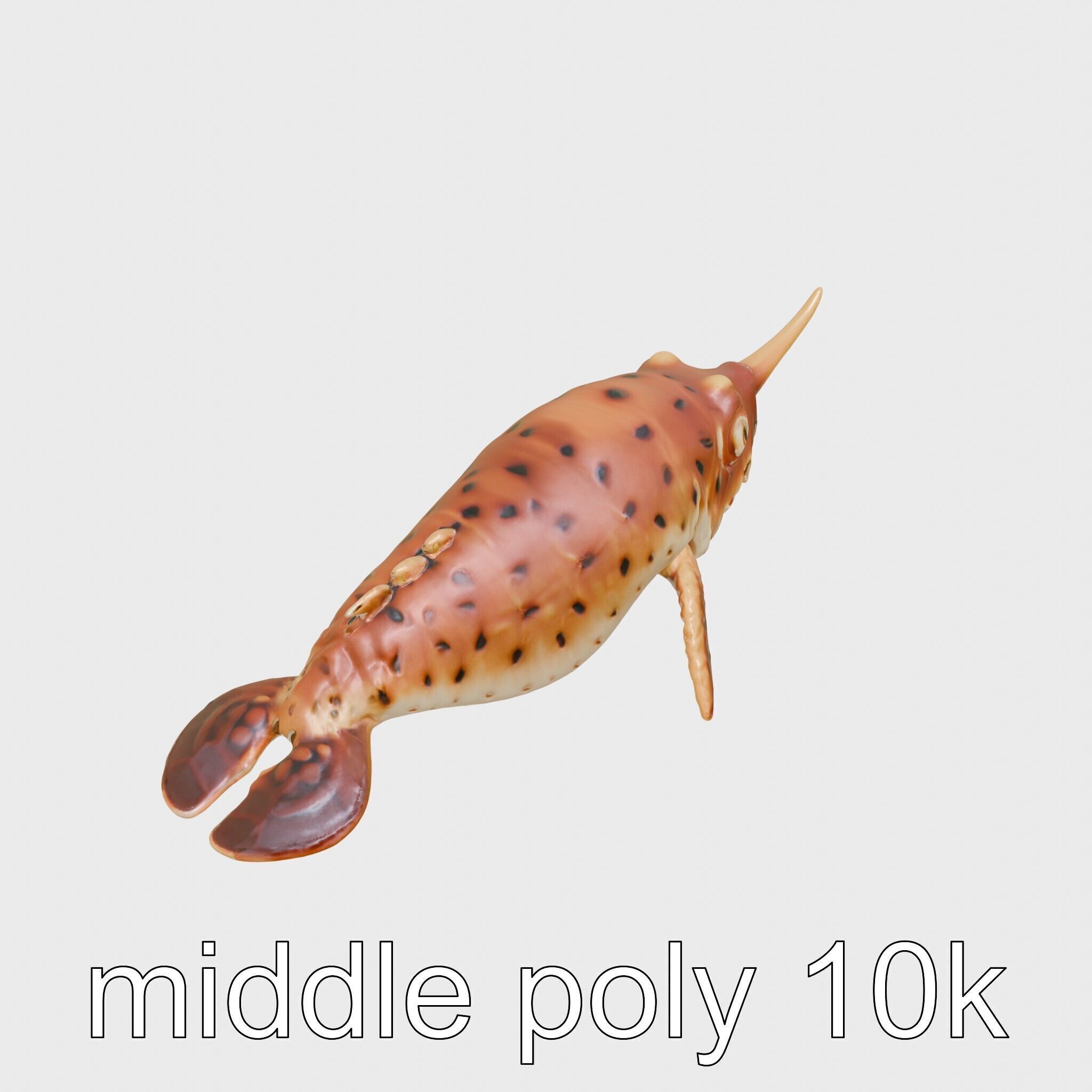 Sea Hare with Ear-Like Rhinophores 3D Model Low-poly 3D model_24