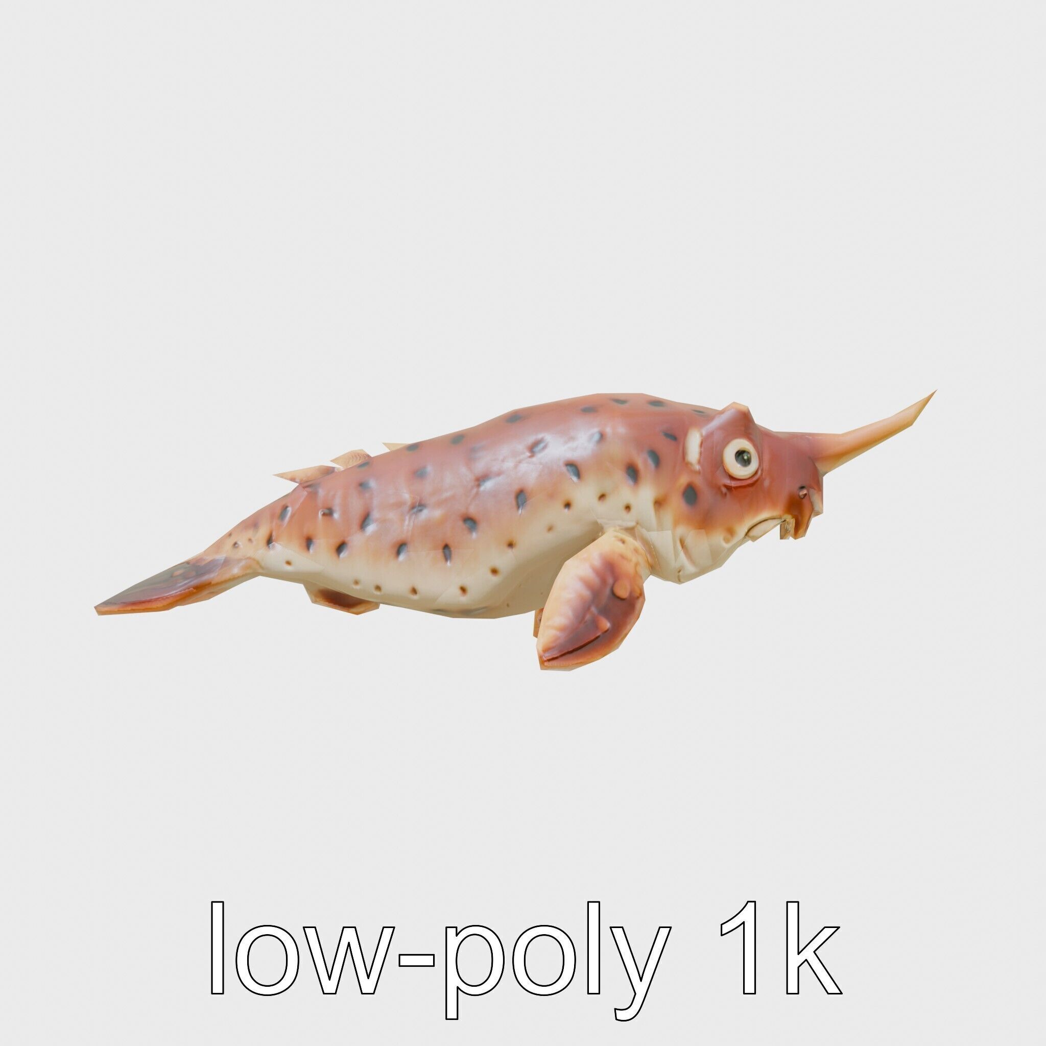 Sea Hare with Ear-Like Rhinophores 3D Model Low-poly 3D model_4