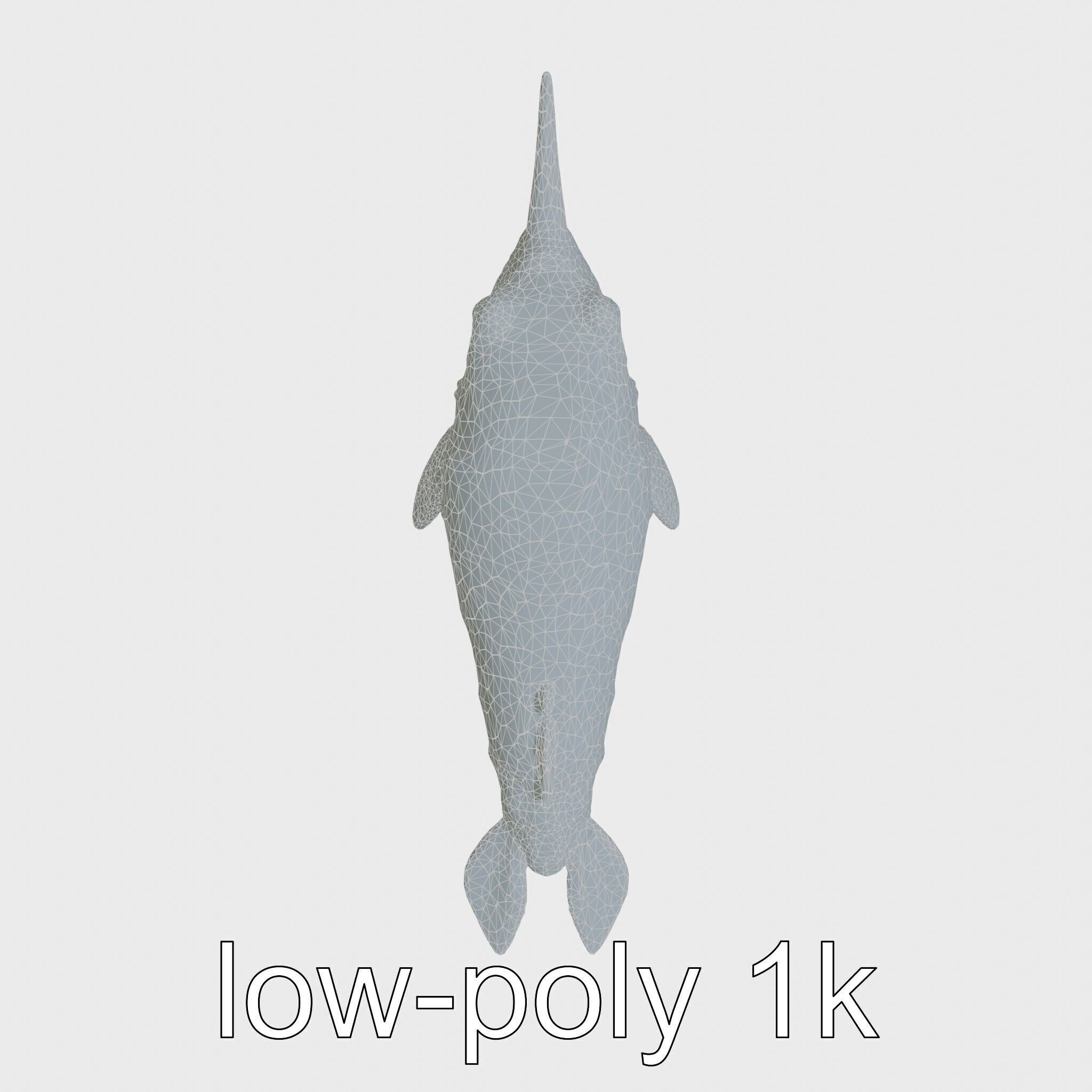 Sea Hare with Ear-Like Rhinophores 3D Model Low-poly 3D model_23