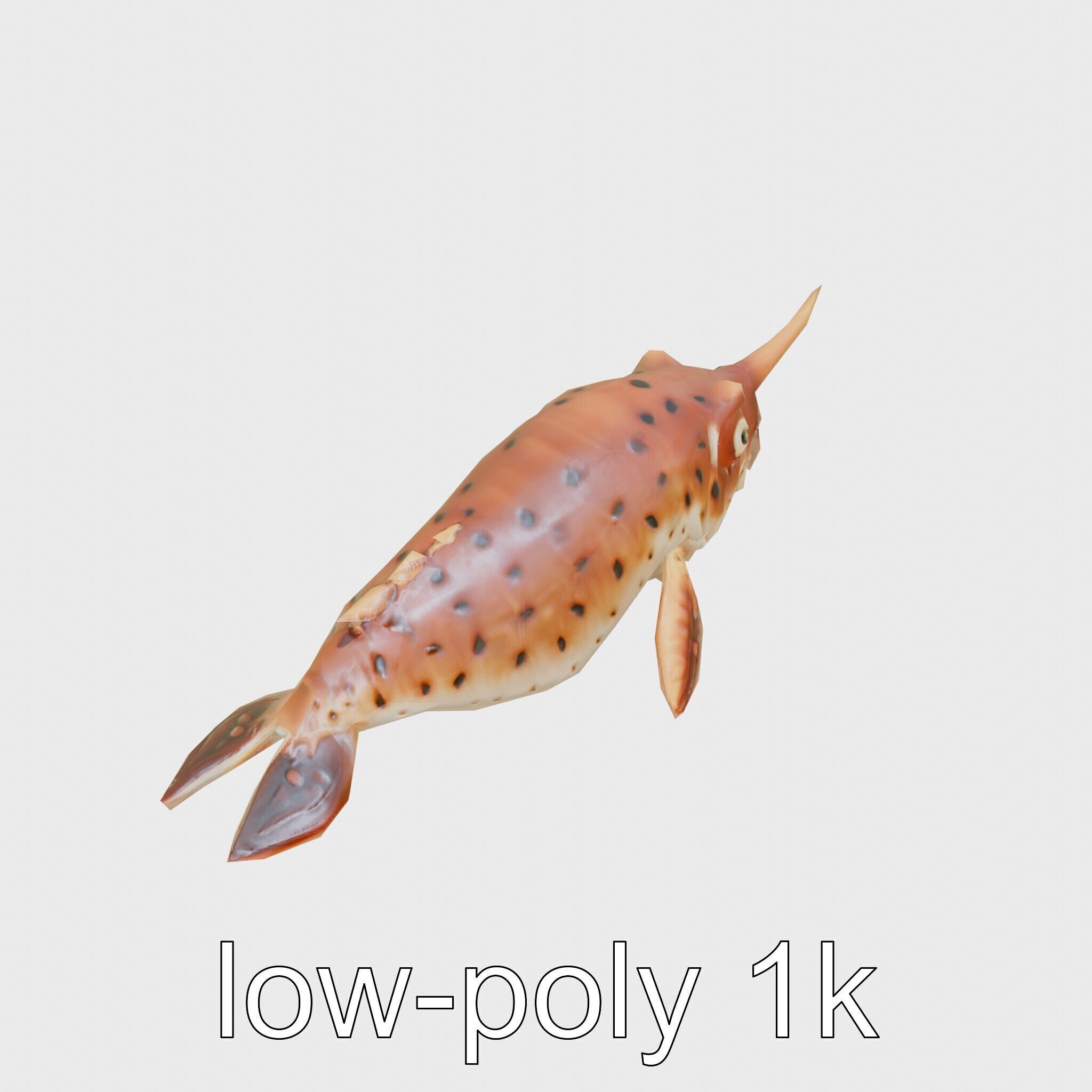 Sea Hare with Ear-Like Rhinophores 3D Model Low-poly 3D model_13