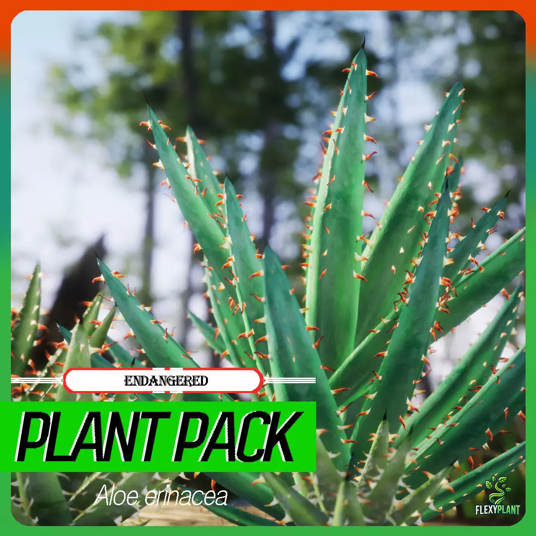 Endangered Plant - 4 Aloe erinacea Tree Low-poly 3D model