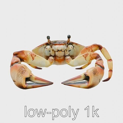 Fiddler Crab with Oversized Claw 3D Model Low-poly 3D model