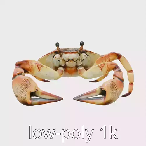 Fiddler Crab with Oversized Claw 3D Model