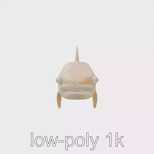 Wobbegong Shark 3D Model with Carpet-like Texture Low-poly 3D model