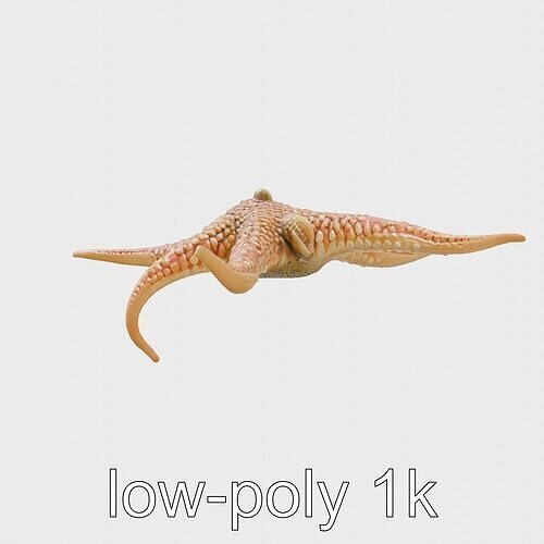 Brittle Star Detailed 3D Model Low-poly 3D model