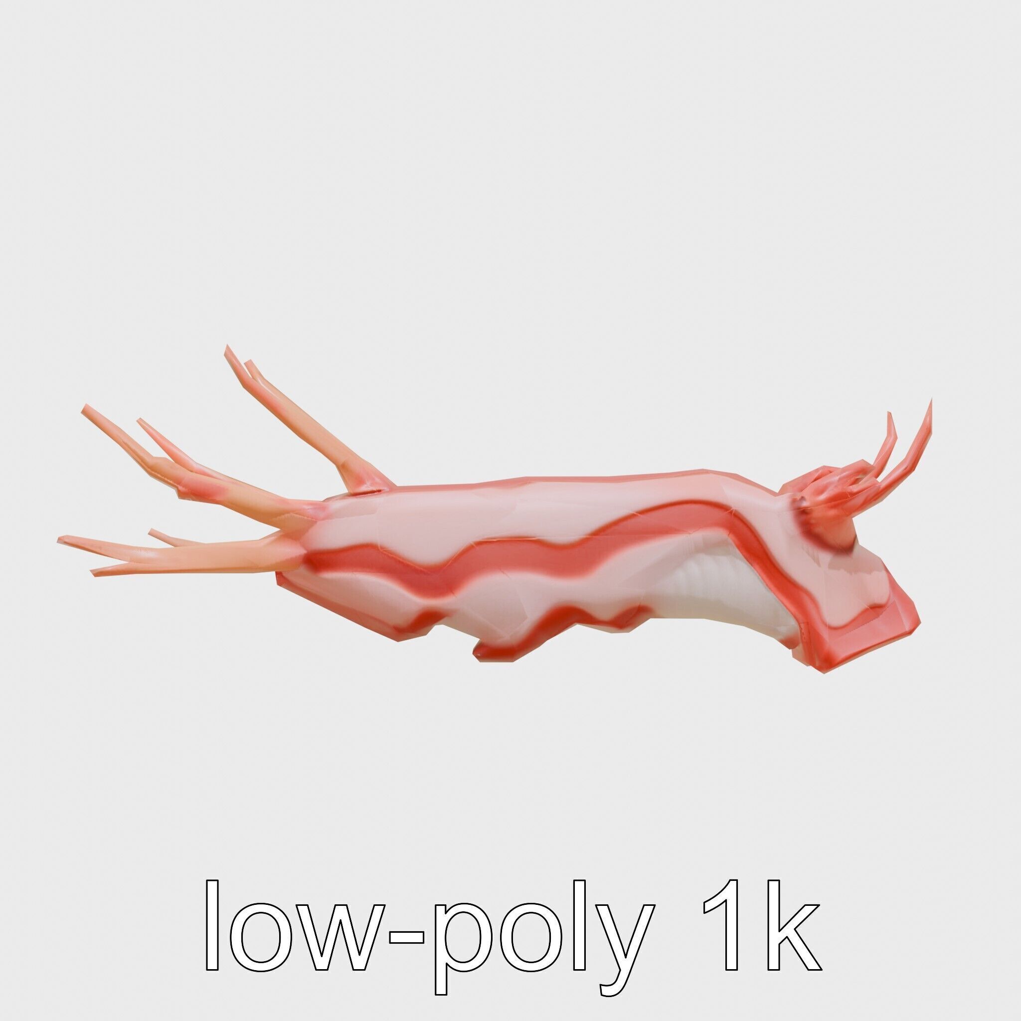 Spanish Dancer Nudibranch Flowing Appearance 3D Model Low-poly 3D model_4