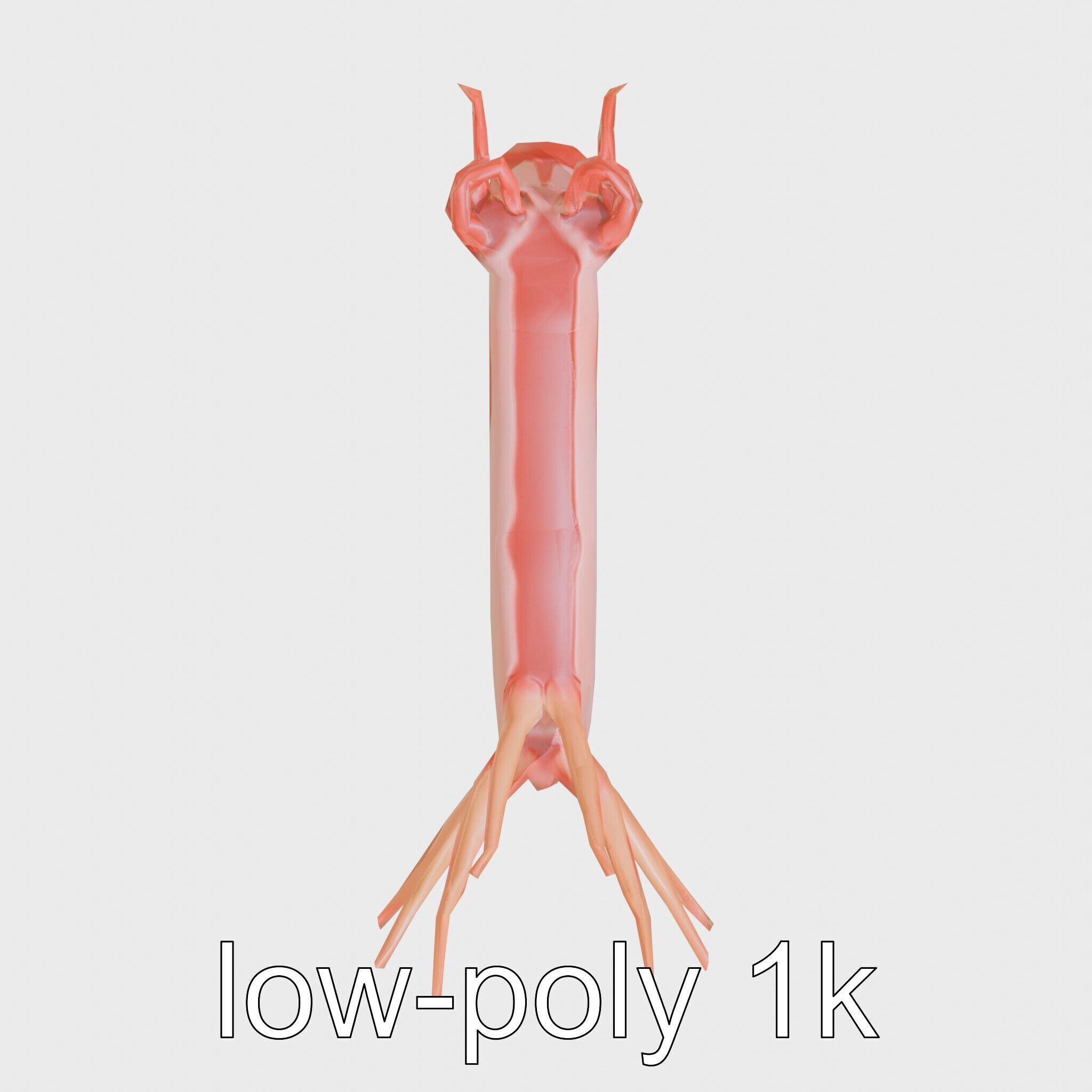 Spanish Dancer Nudibranch Flowing Appearance 3D Model Low-poly 3D model_18