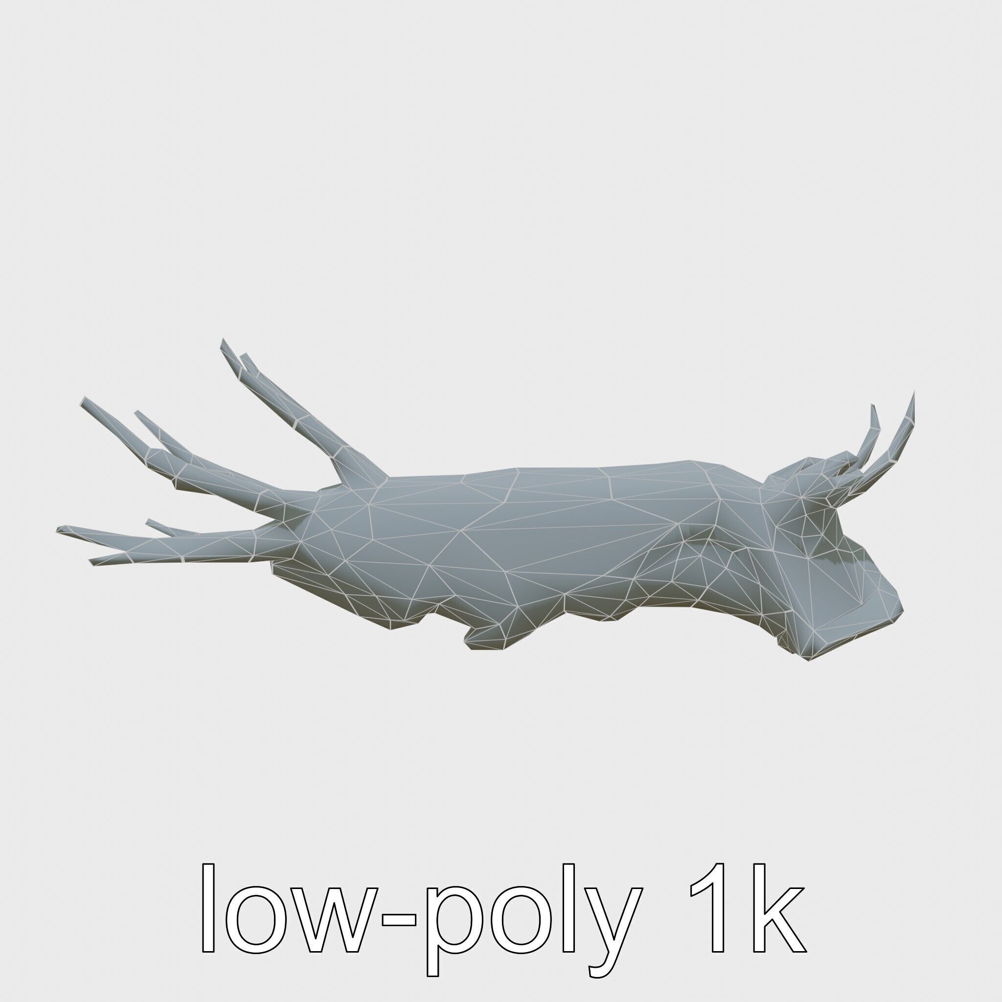 Spanish Dancer Nudibranch Flowing Appearance 3D Model Low-poly 3D model_7