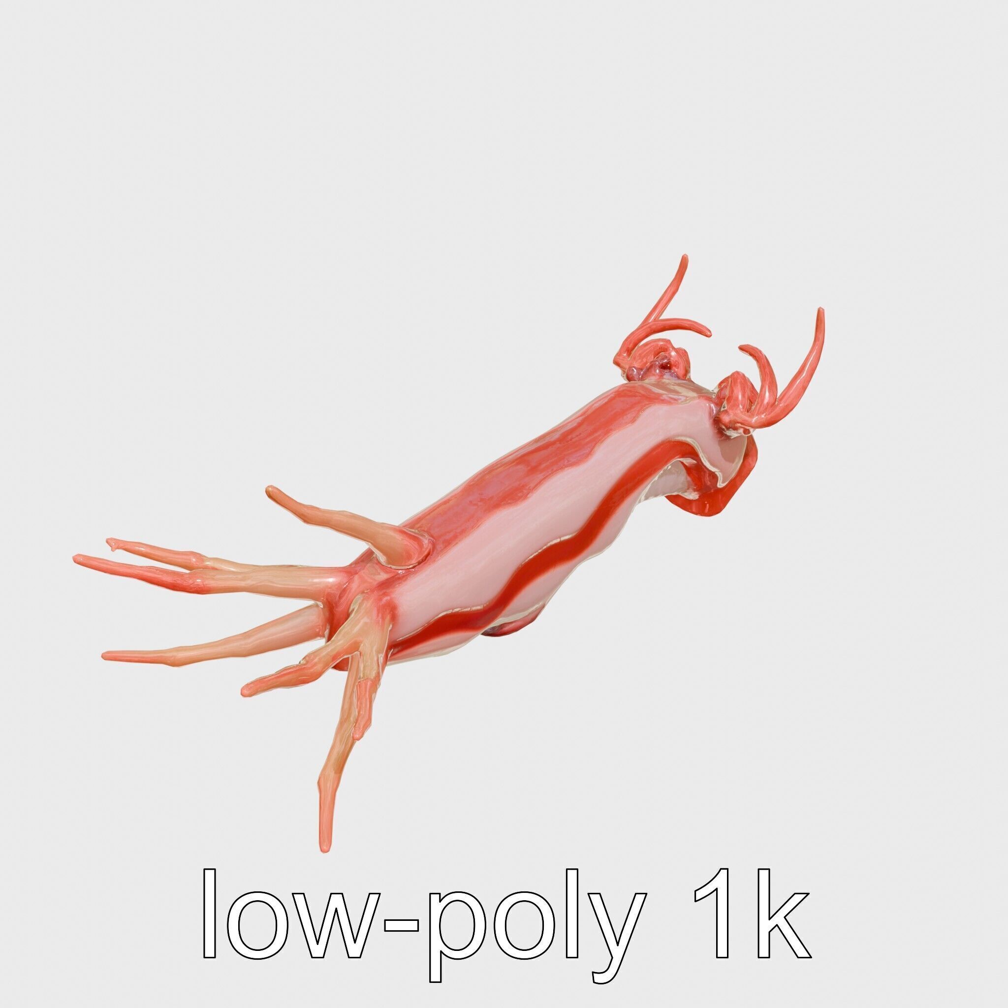 Spanish Dancer Nudibranch Flowing Appearance 3D Model Low-poly 3D model_24