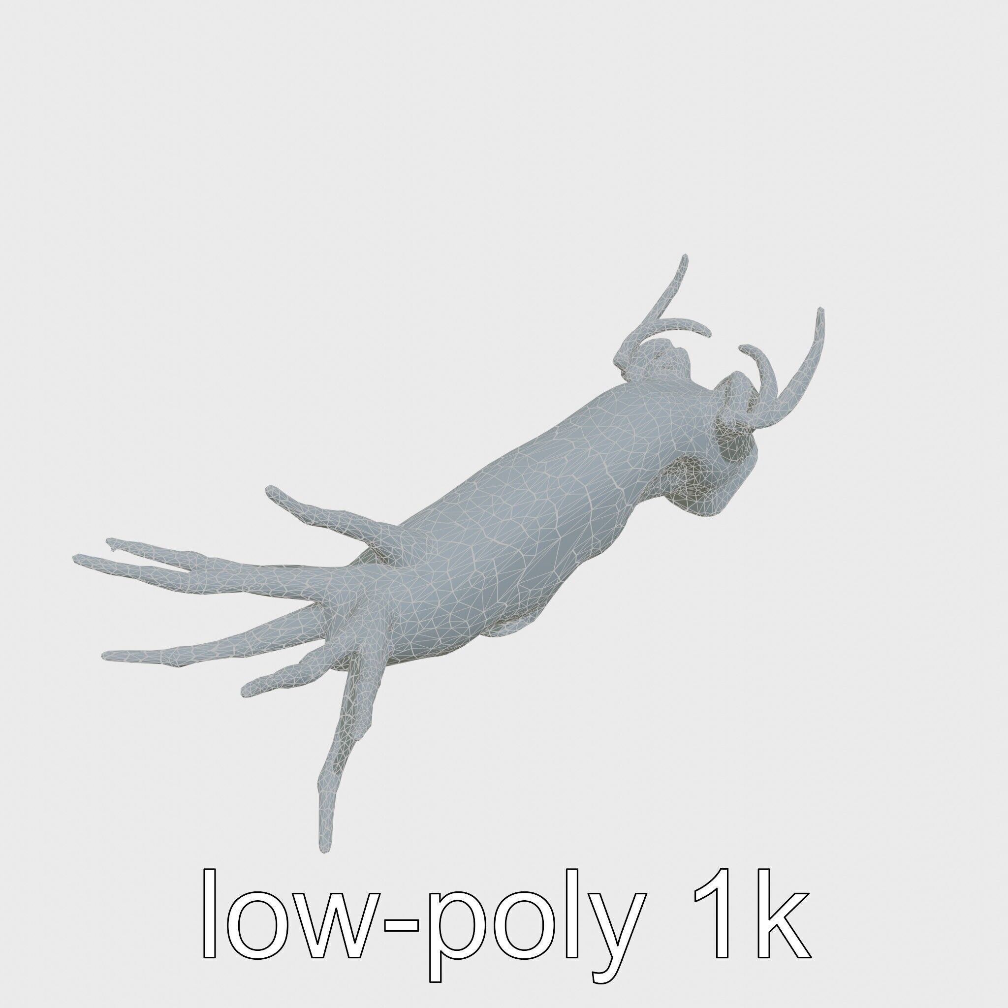 Spanish Dancer Nudibranch Flowing Appearance 3D Model Low-poly 3D model_14