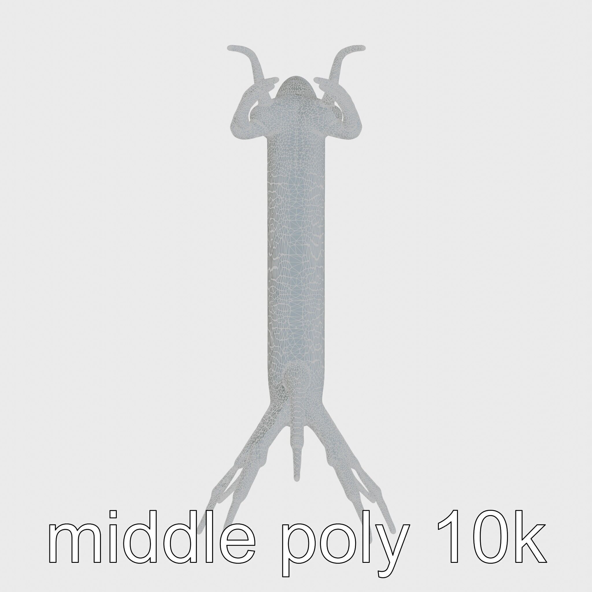 Spanish Dancer Nudibranch Flowing Appearance 3D Model Low-poly 3D model_12