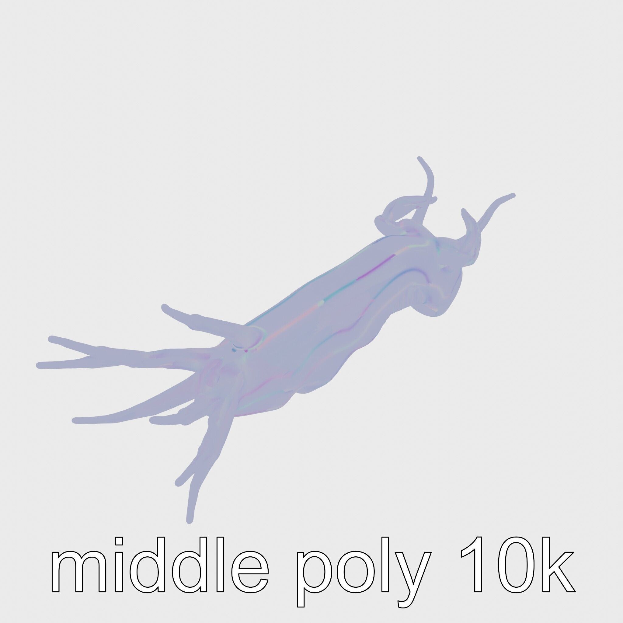 Spanish Dancer Nudibranch Flowing Appearance 3D Model Low-poly 3D model_16