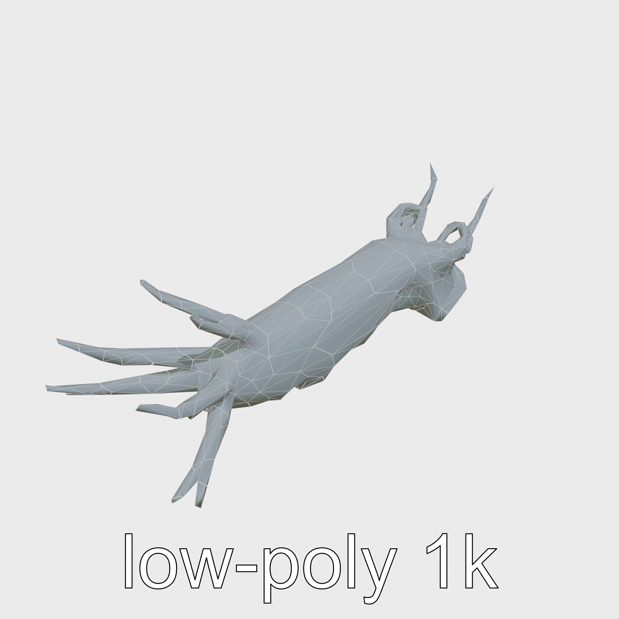 Spanish Dancer Nudibranch Flowing Appearance 3D Model Low-poly 3D model_21