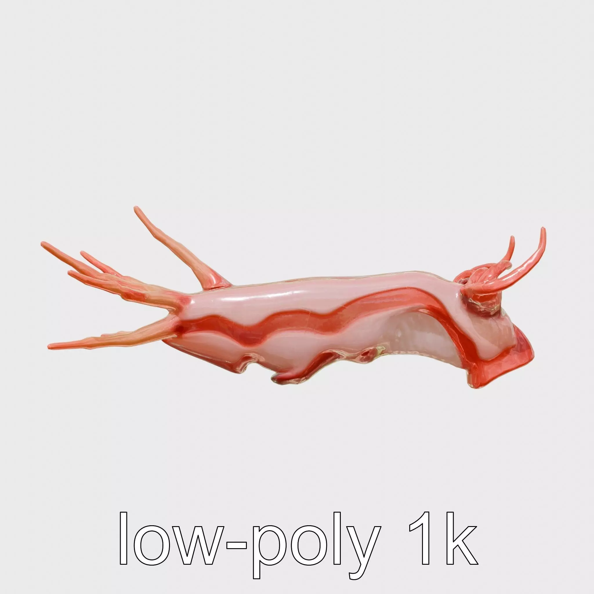 Spanish Dancer Nudibranch Flowing Appearance 3D Model Low-poly 3D model_0