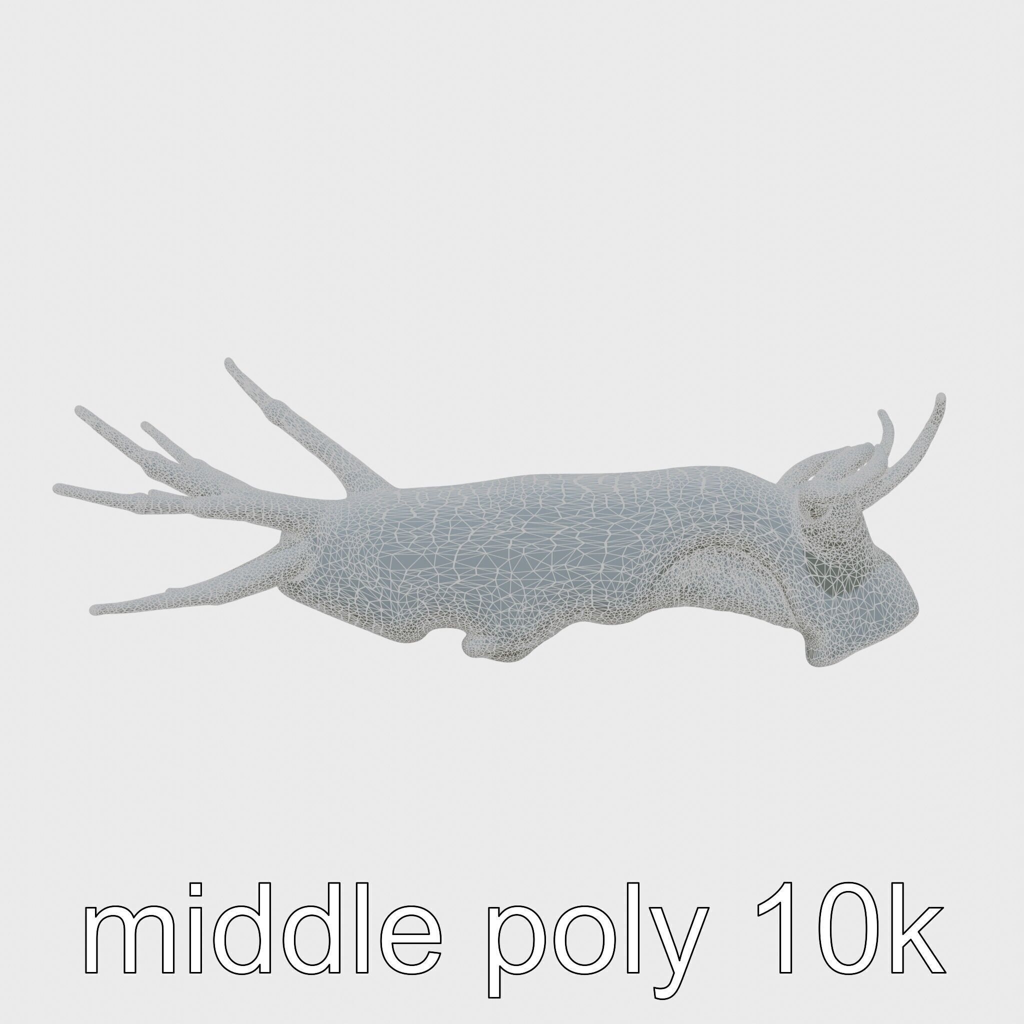 Spanish Dancer Nudibranch Flowing Appearance 3D Model Low-poly 3D model_22