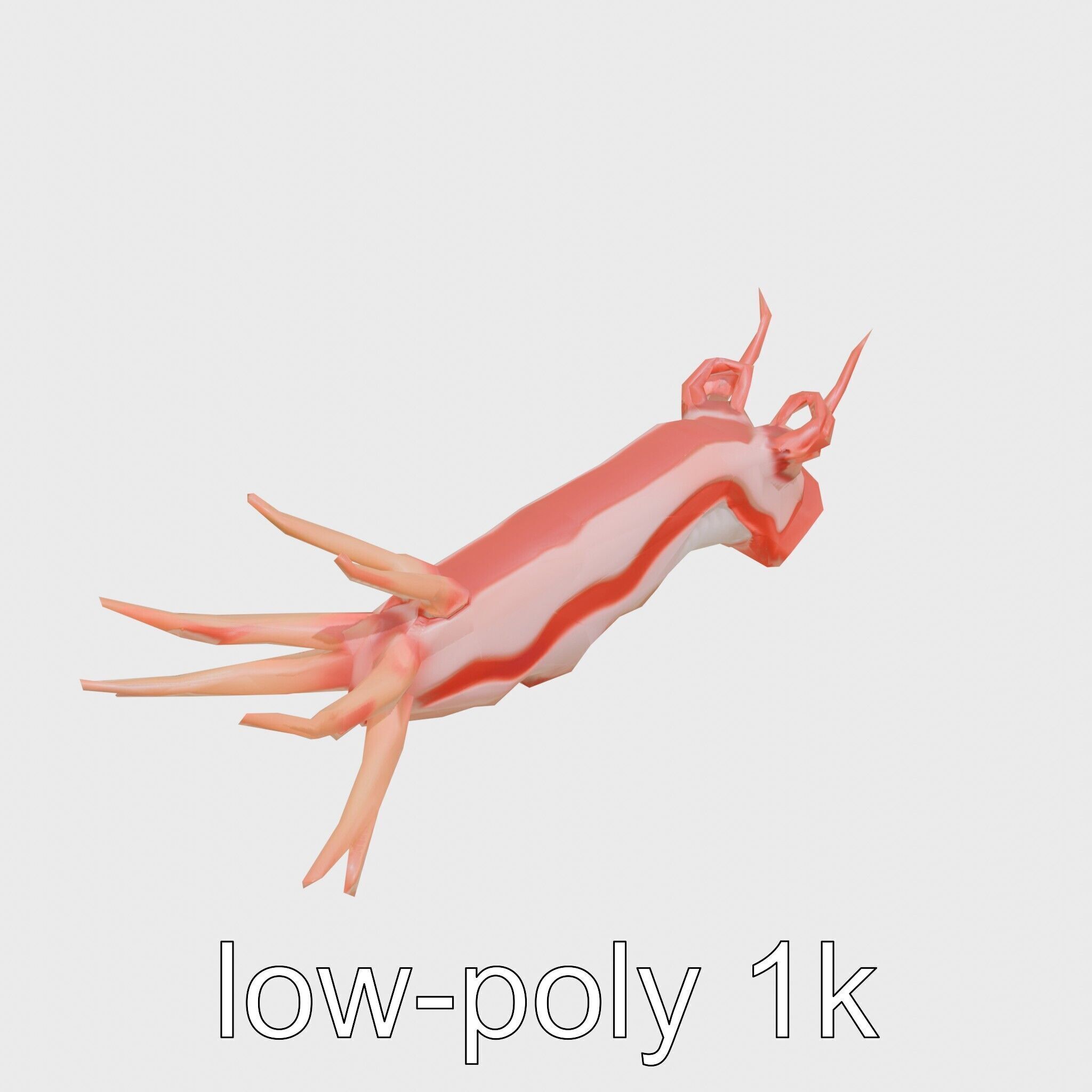 Spanish Dancer Nudibranch Flowing Appearance 3D Model Low-poly 3D model_10
