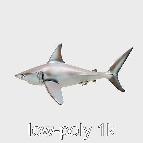 Thresher Shark with Long Tail Fin 3D Model Low-poly 3D model