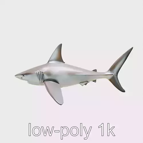Thresher Shark with Long Tail Fin 3D Model Low-poly 3D model