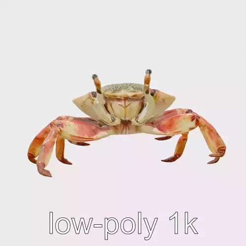 King Crab Model with Spiky Exoskeleton