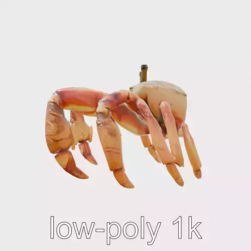 Coral Crab Model with Symbiotic Detail