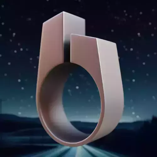 Twin Pillar Ring - Futuristic Architectural 3D Print Design 14 3D print model