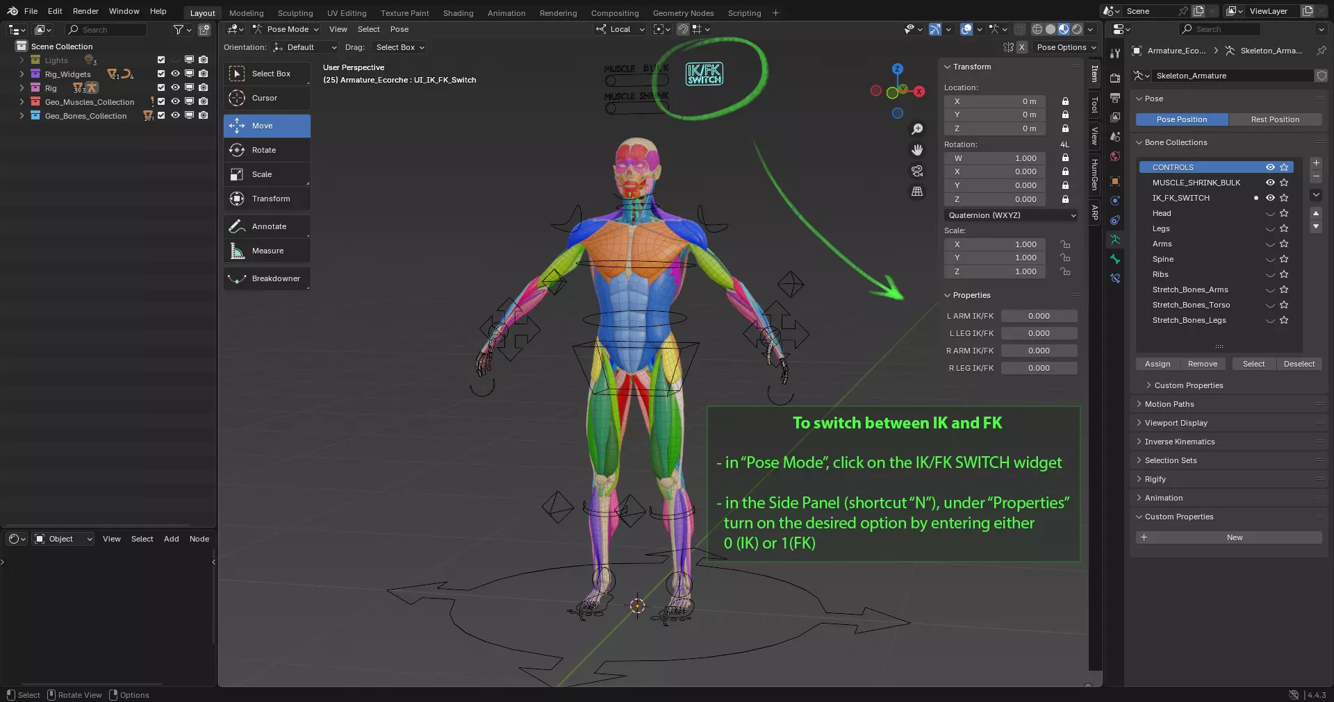 Muscle Anatomy - Ecorche Rigged Low-poly 3D model_13