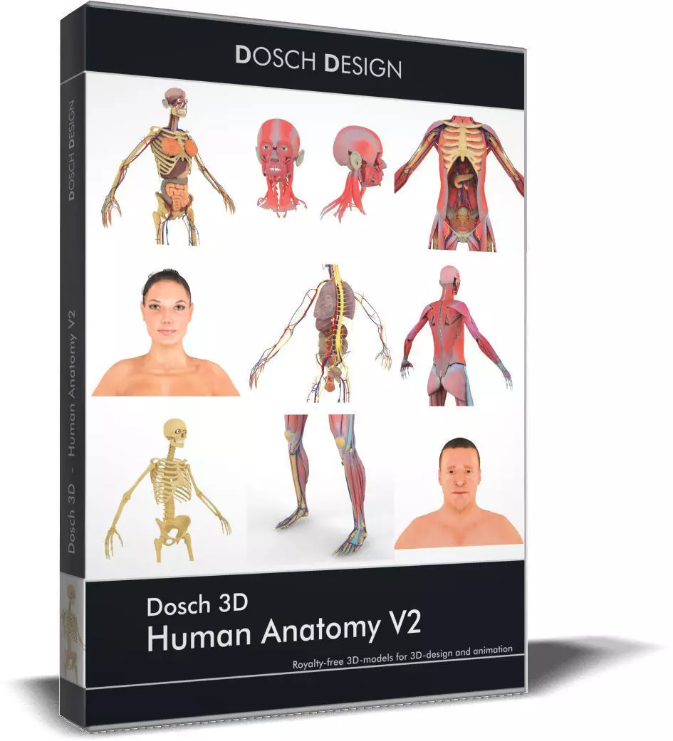 Dosch 3D - Human Anatomy V2 3D model_0