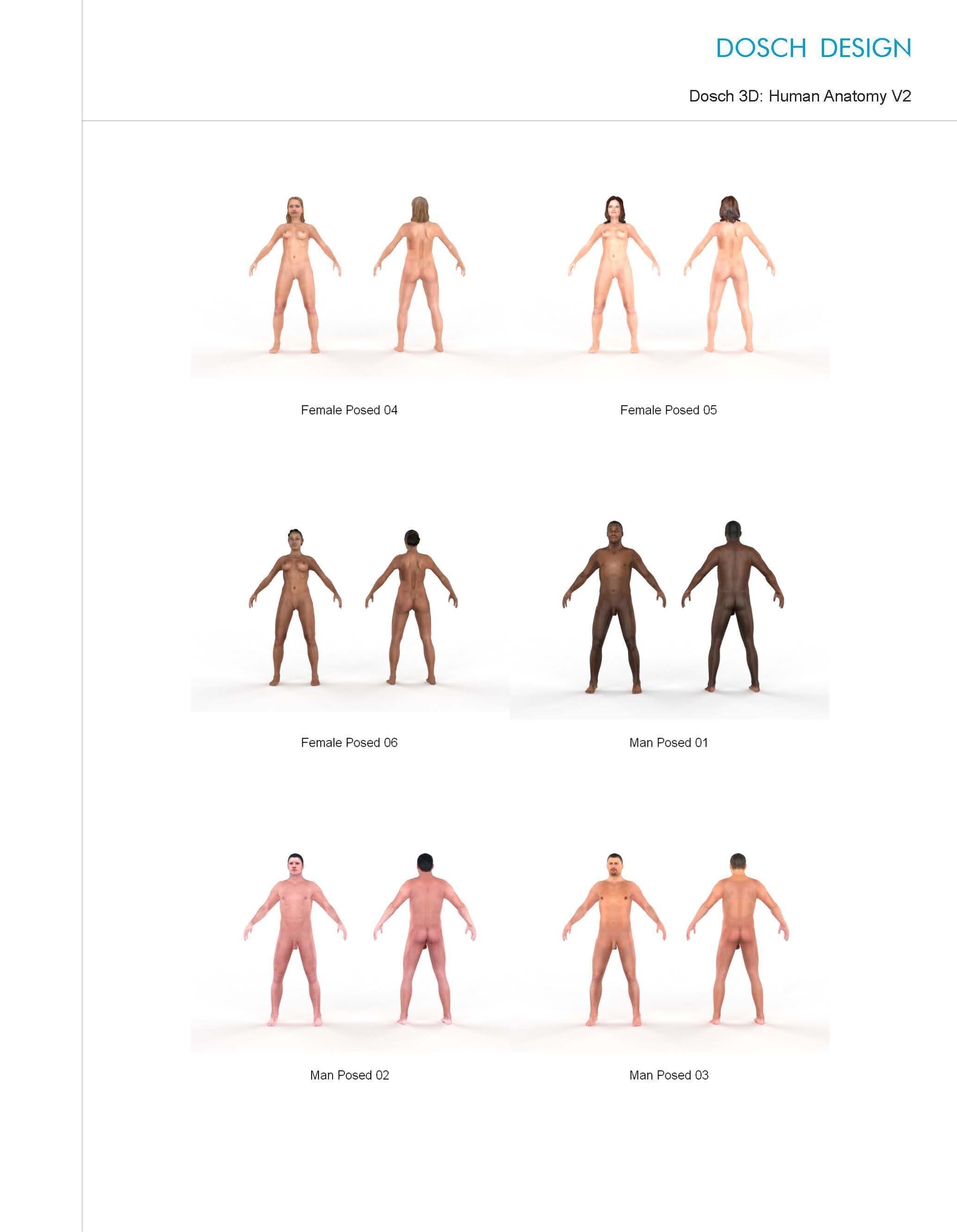 Dosch 3D - Human Anatomy V2 3D model_2