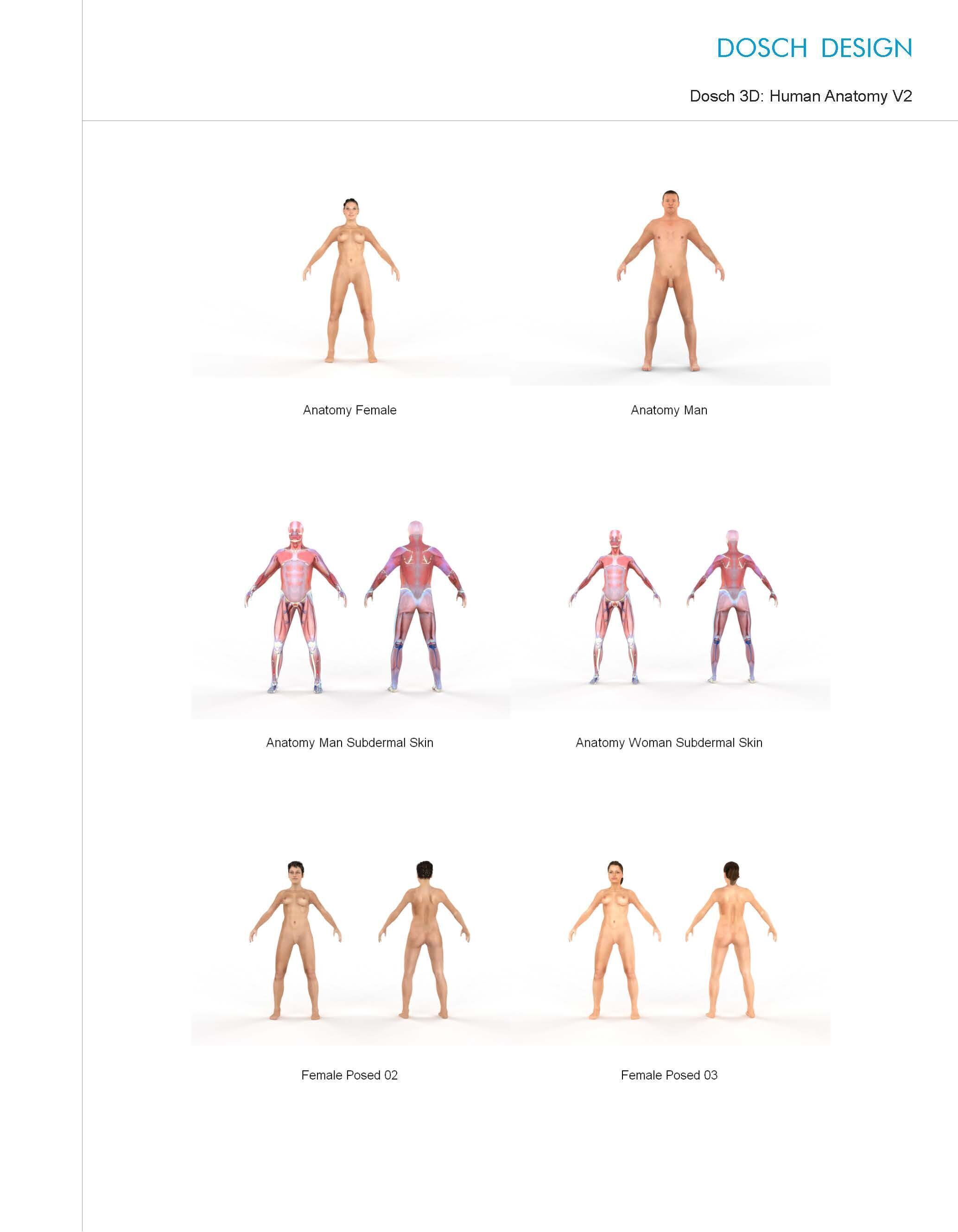 Dosch 3D - Human Anatomy V2 3D model_1