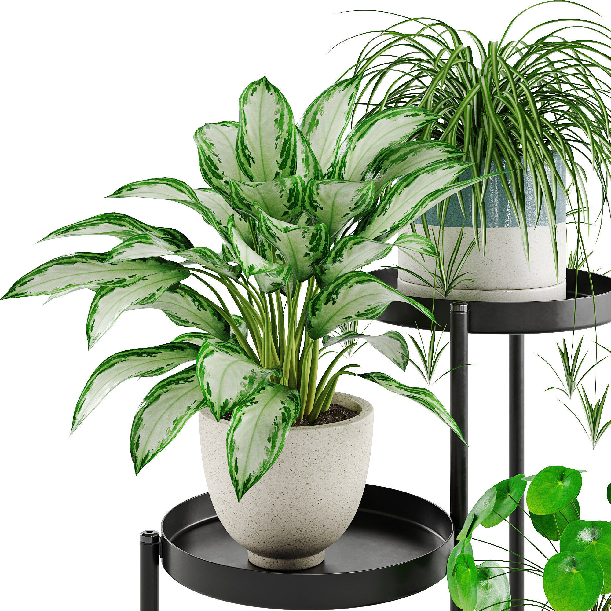 Houseplant 87 Olivblad plant stand 3D model_6