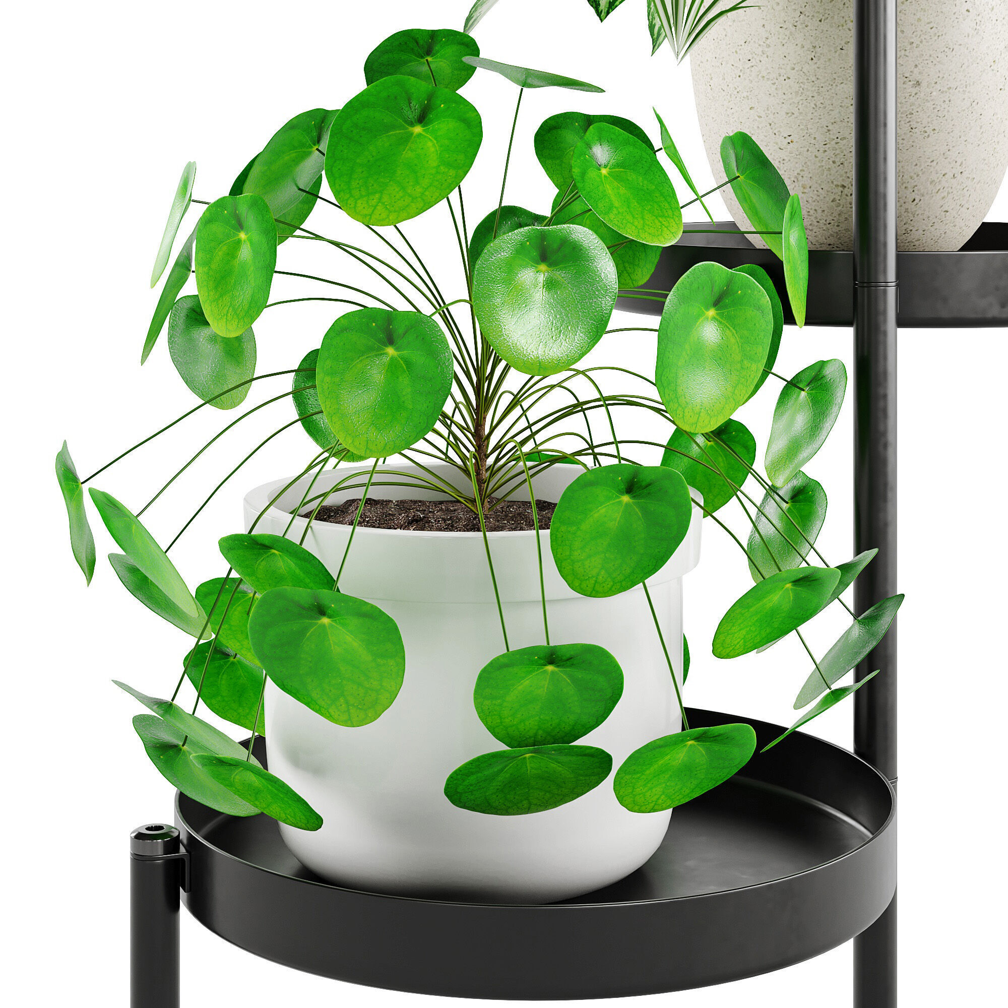 Houseplant 87 Olivblad plant stand 3D model_4